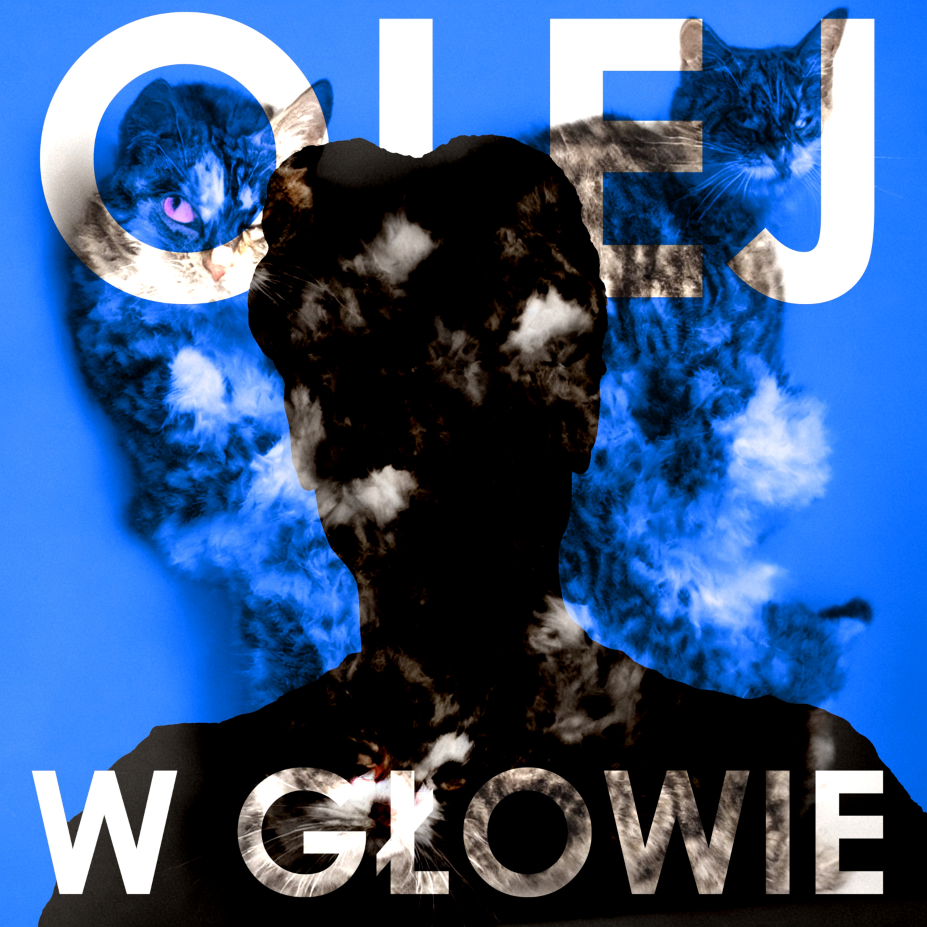 Optymizm (Kota Schrödingera). episode artwork