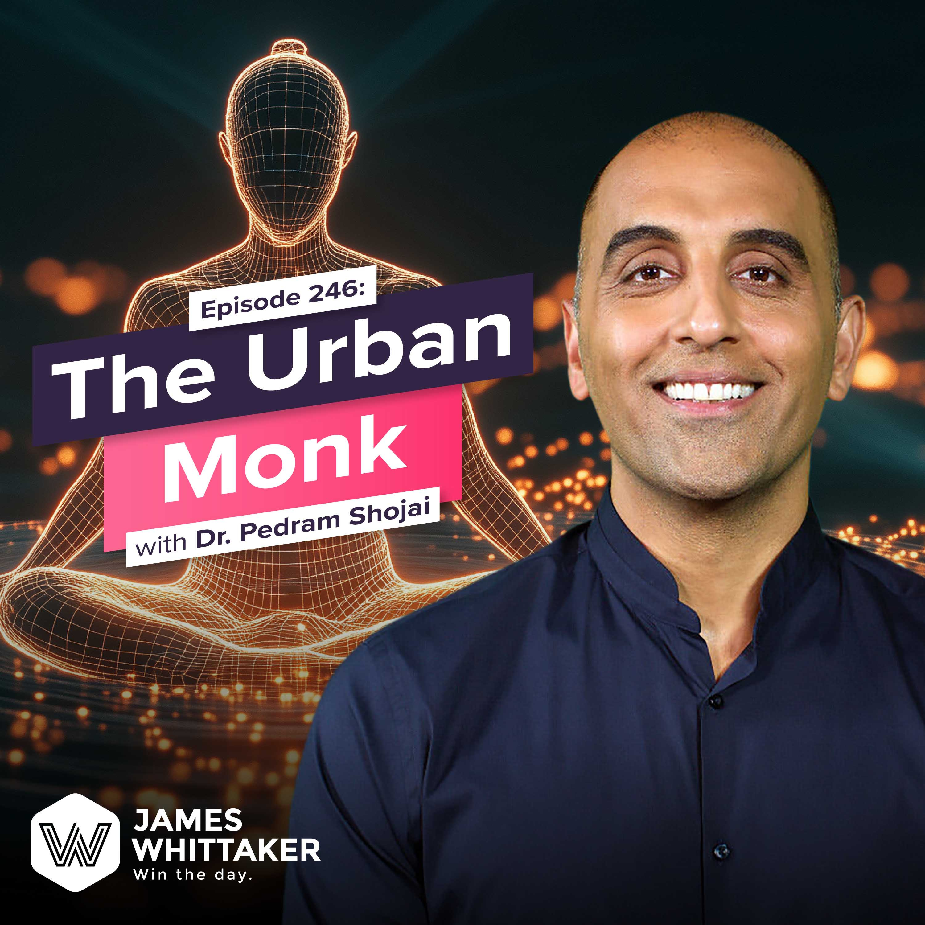 246. The Urban Monk with Dr. Pedram Shojai (NY Times bestselling author; Doctor; Taoist monk) 🧘🏽