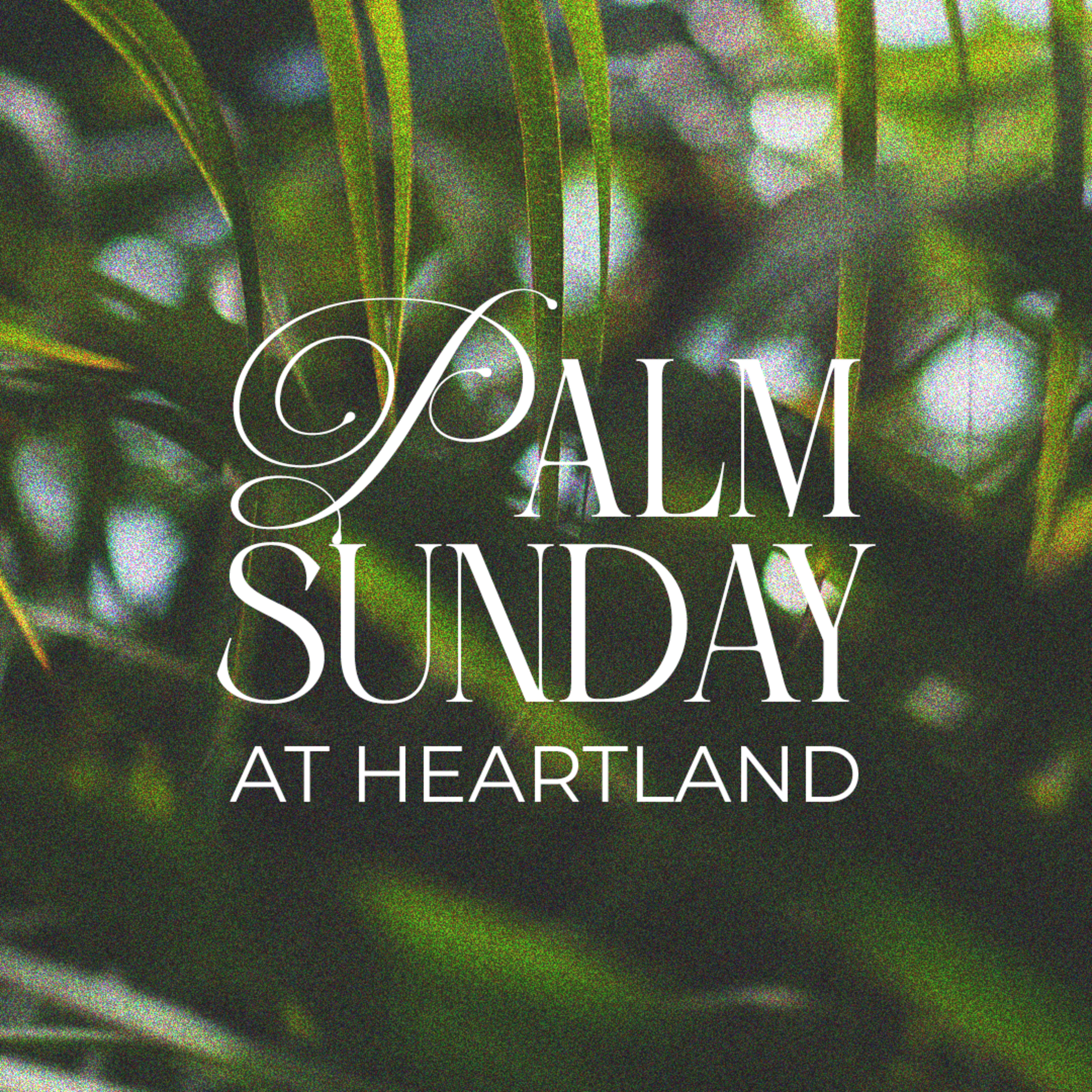 The Fit Man | Palm Sunday | Pastor Dusty Dean