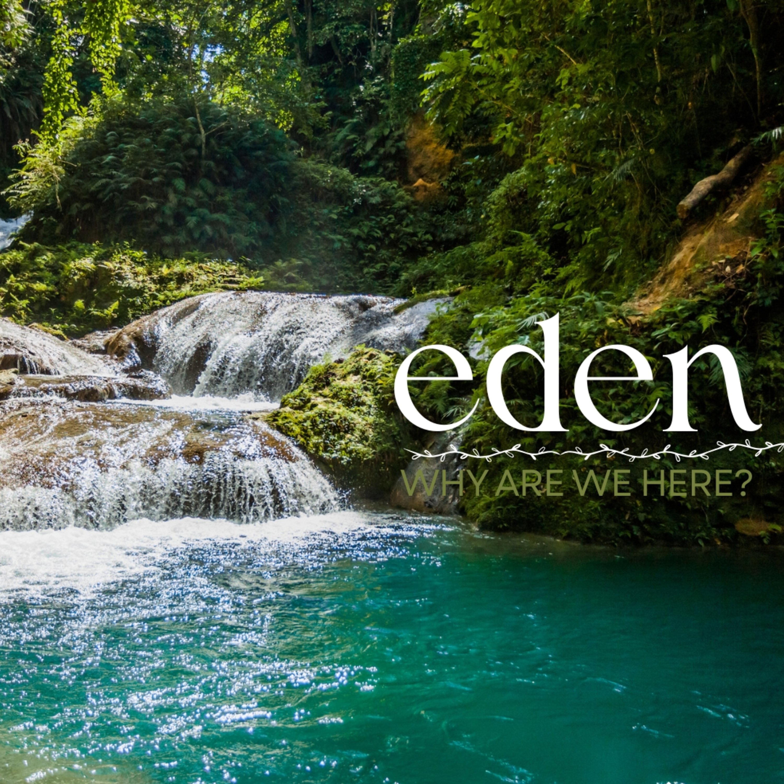 Eden | Our Story episode artwork