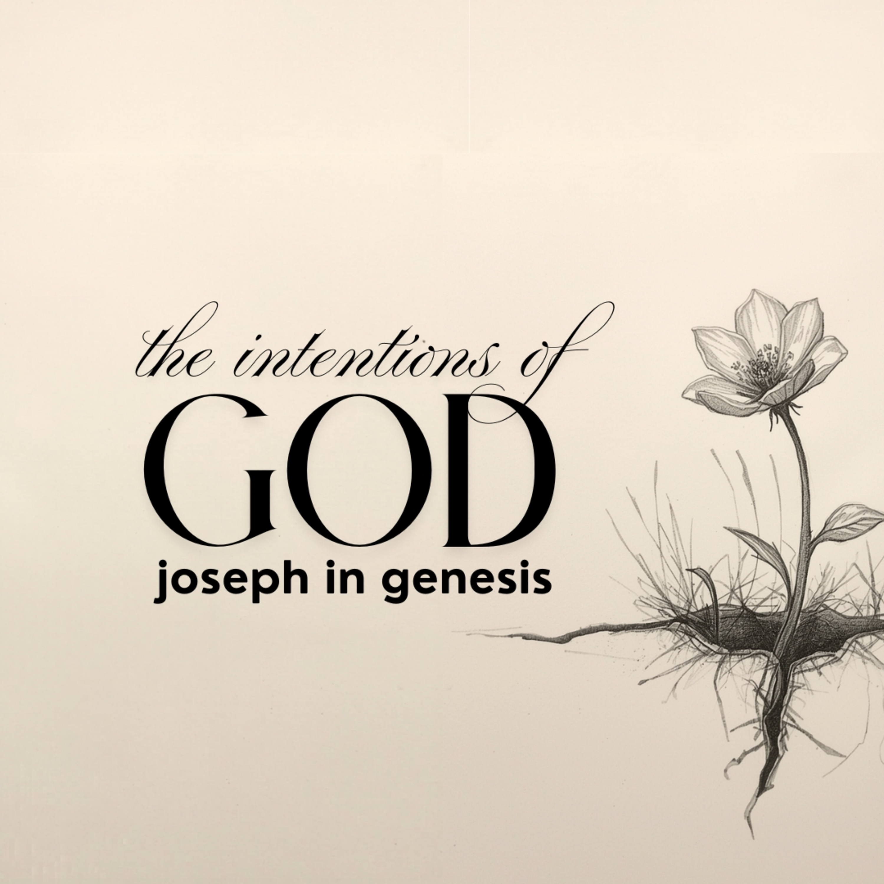 The Intentions of God - One Perfect Score episode artwork