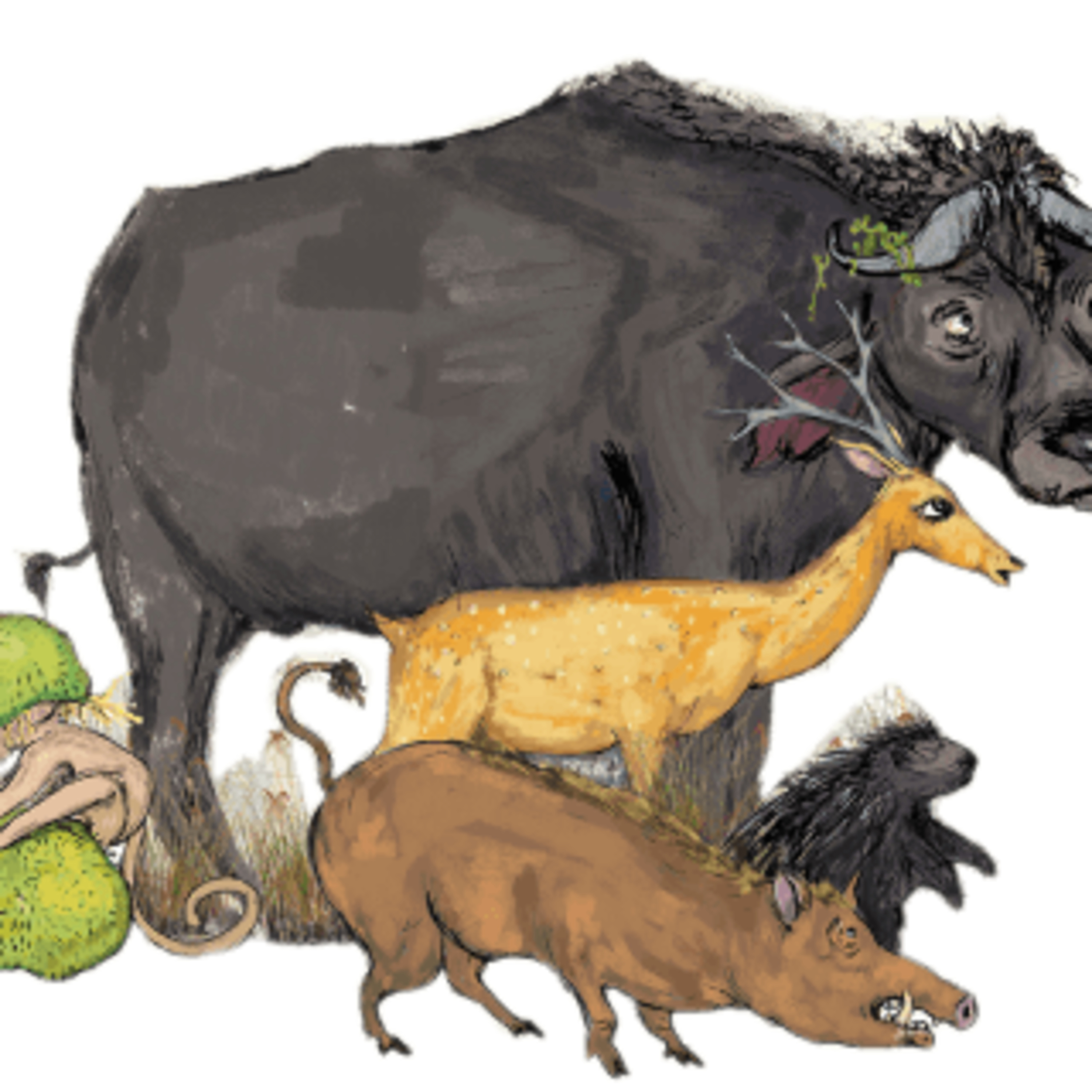 #GetchildrenReading #littlestorytellers week 13  episode artwork