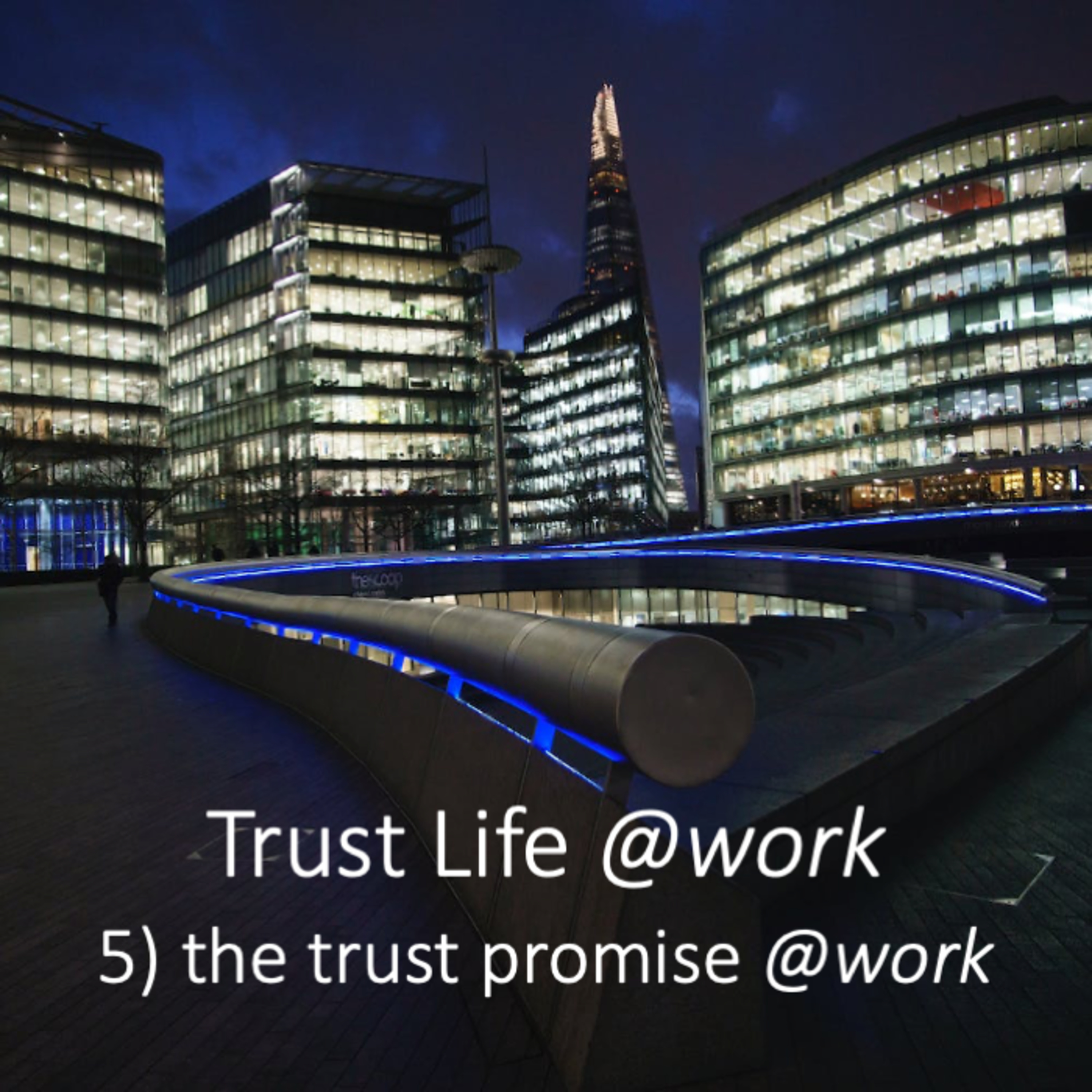 TrustLife@work - Session 5: The Trust Promise @work episode artwork