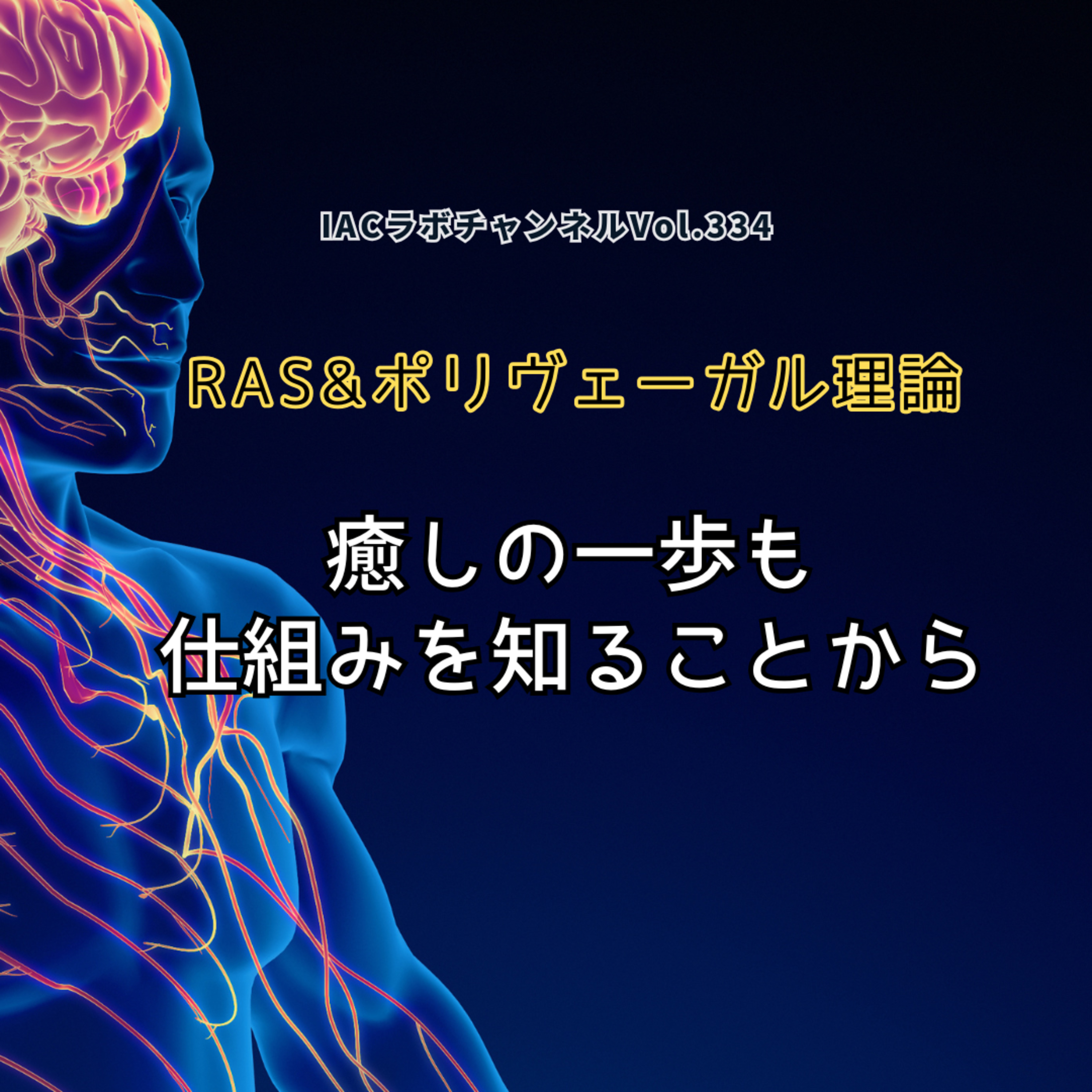 epi.151【癒しの一歩も仕組みを知ることから】RAS&ポリヴェーガル理論 episode artwork