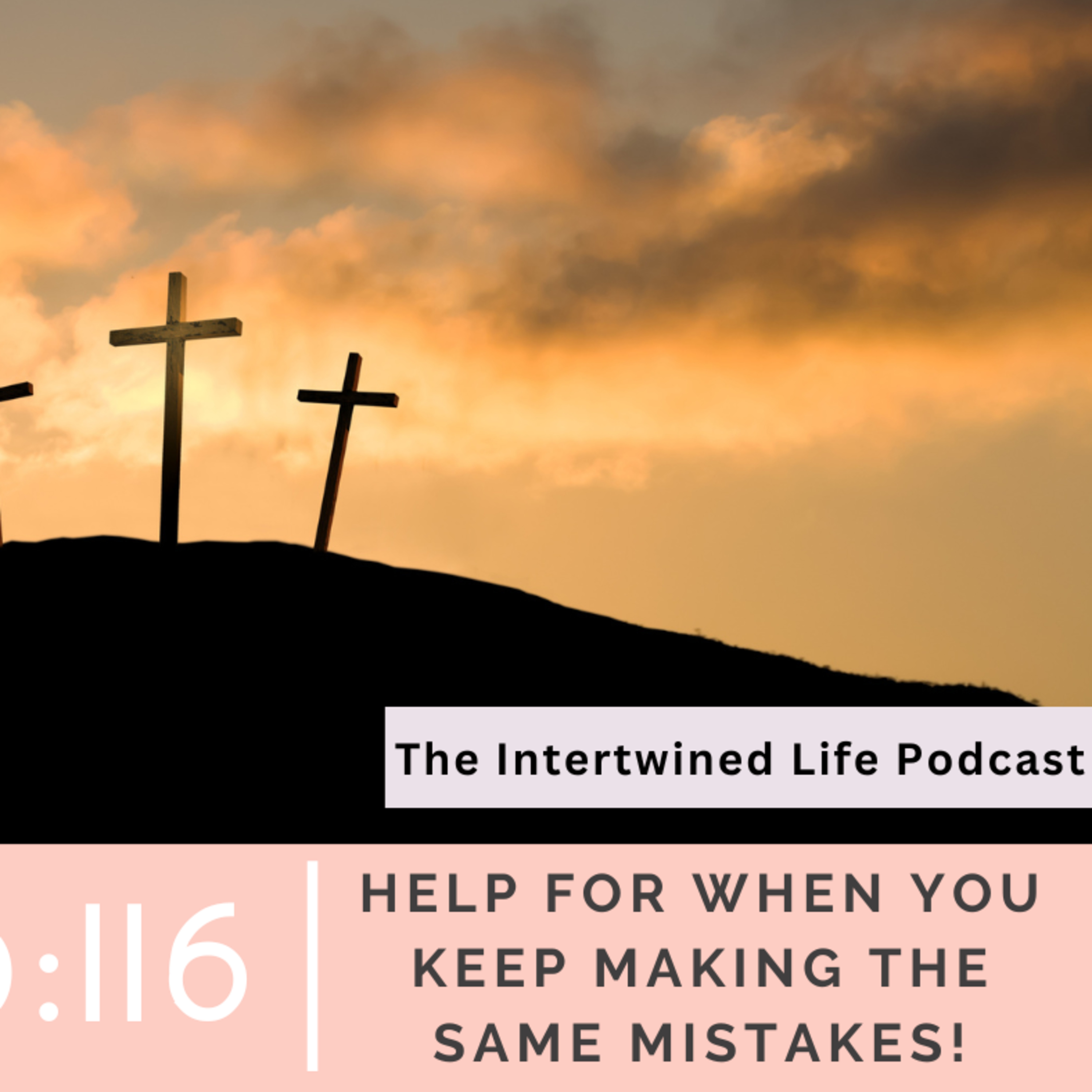 The Intertwined Life Podcast - w/ Jenny Zentz - Christian Women (Faith, Marriage, Parenting, Growth)