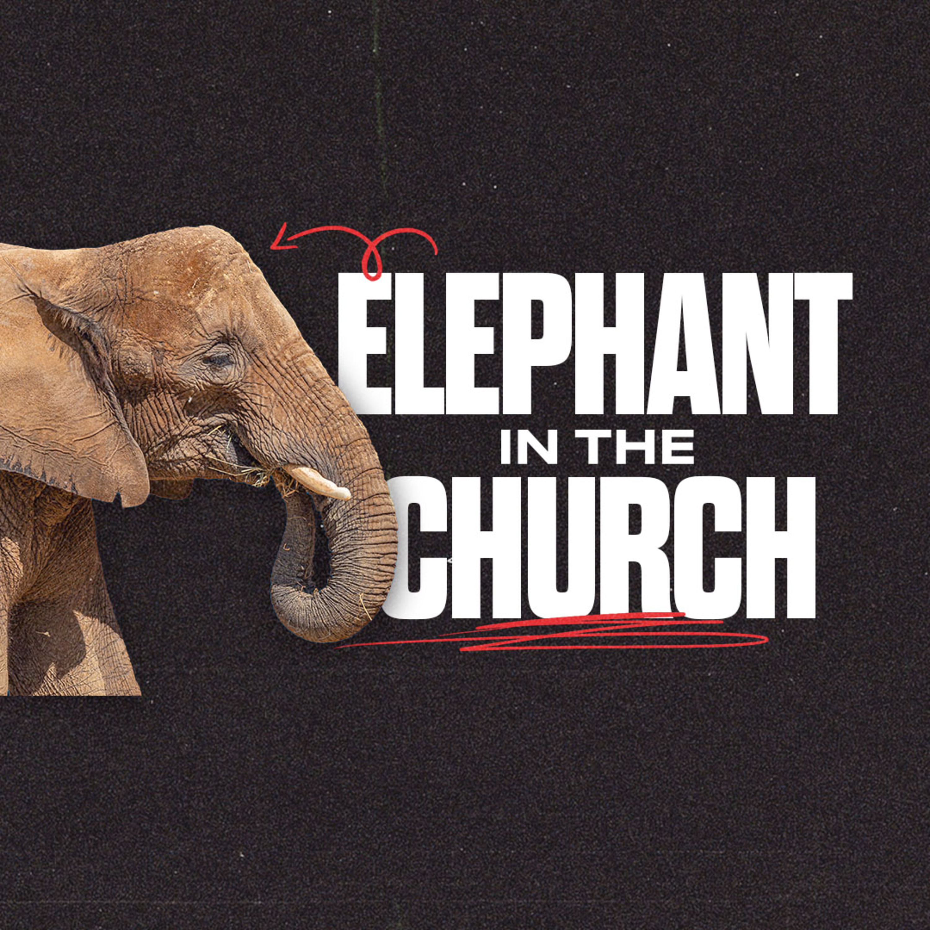 "The Smallest Elephant" | April 28th, 2024 episode artwork