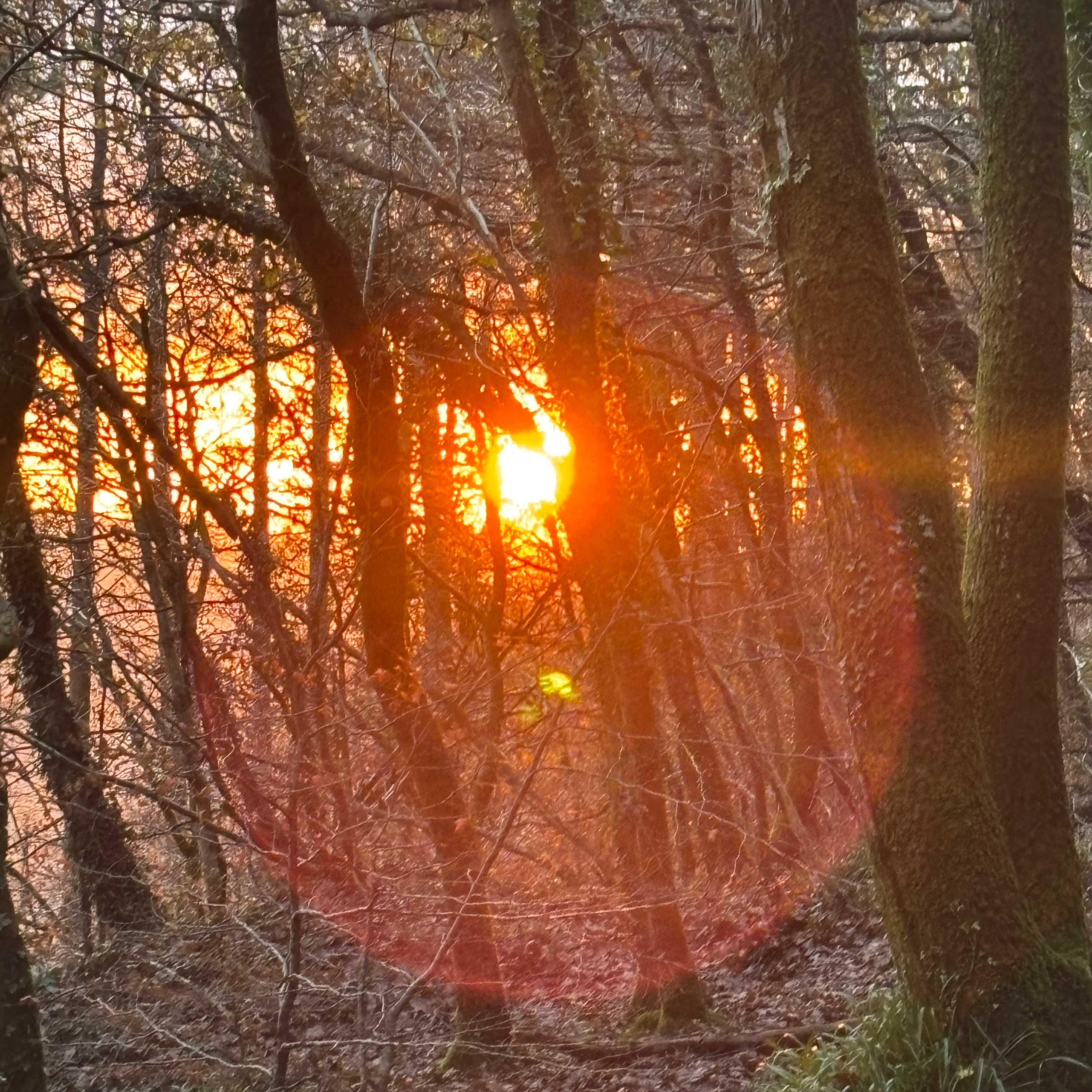 Time between Times Storytelling with Owen Staton . Episode 167. The Rendlesham Lights
