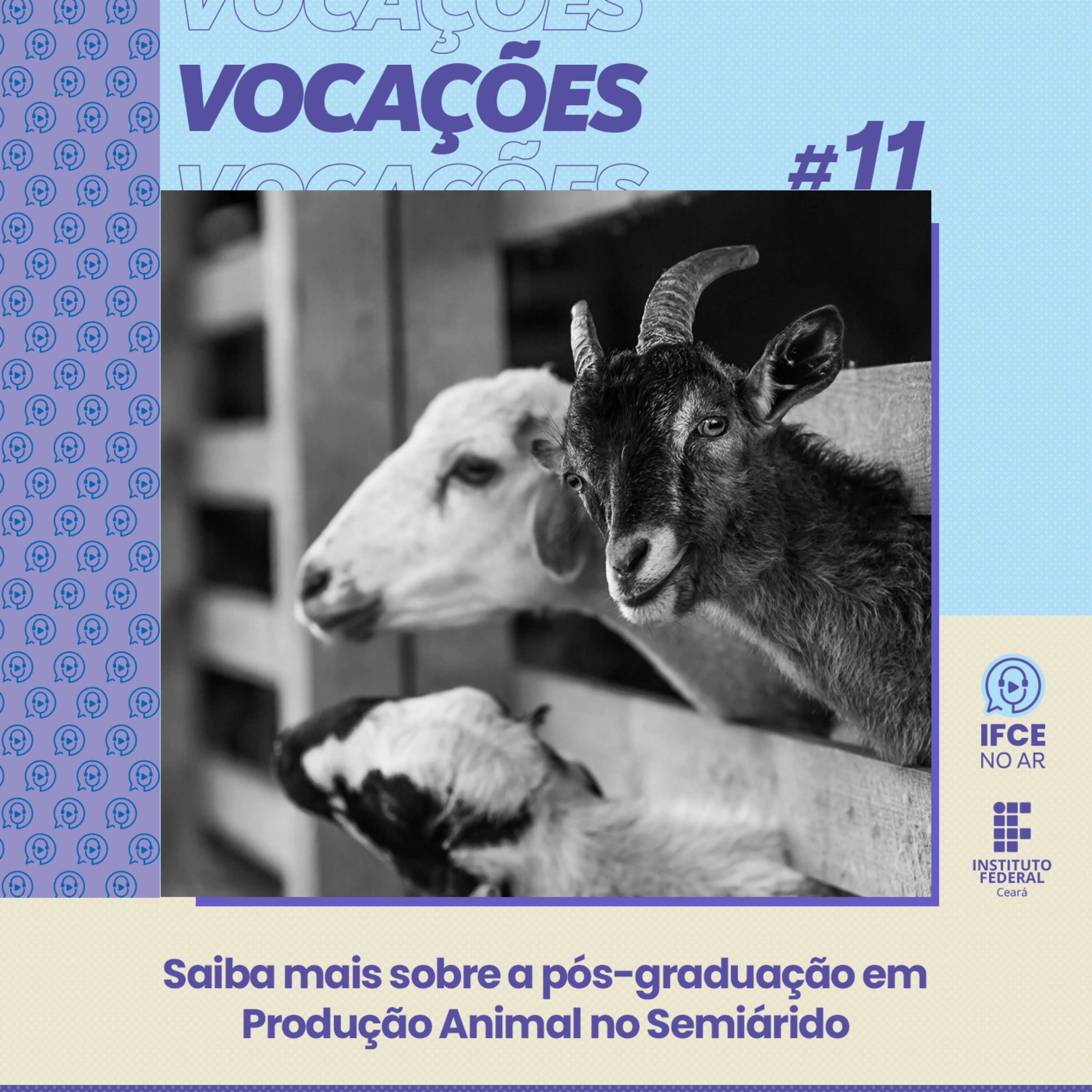 IFCE No Ar