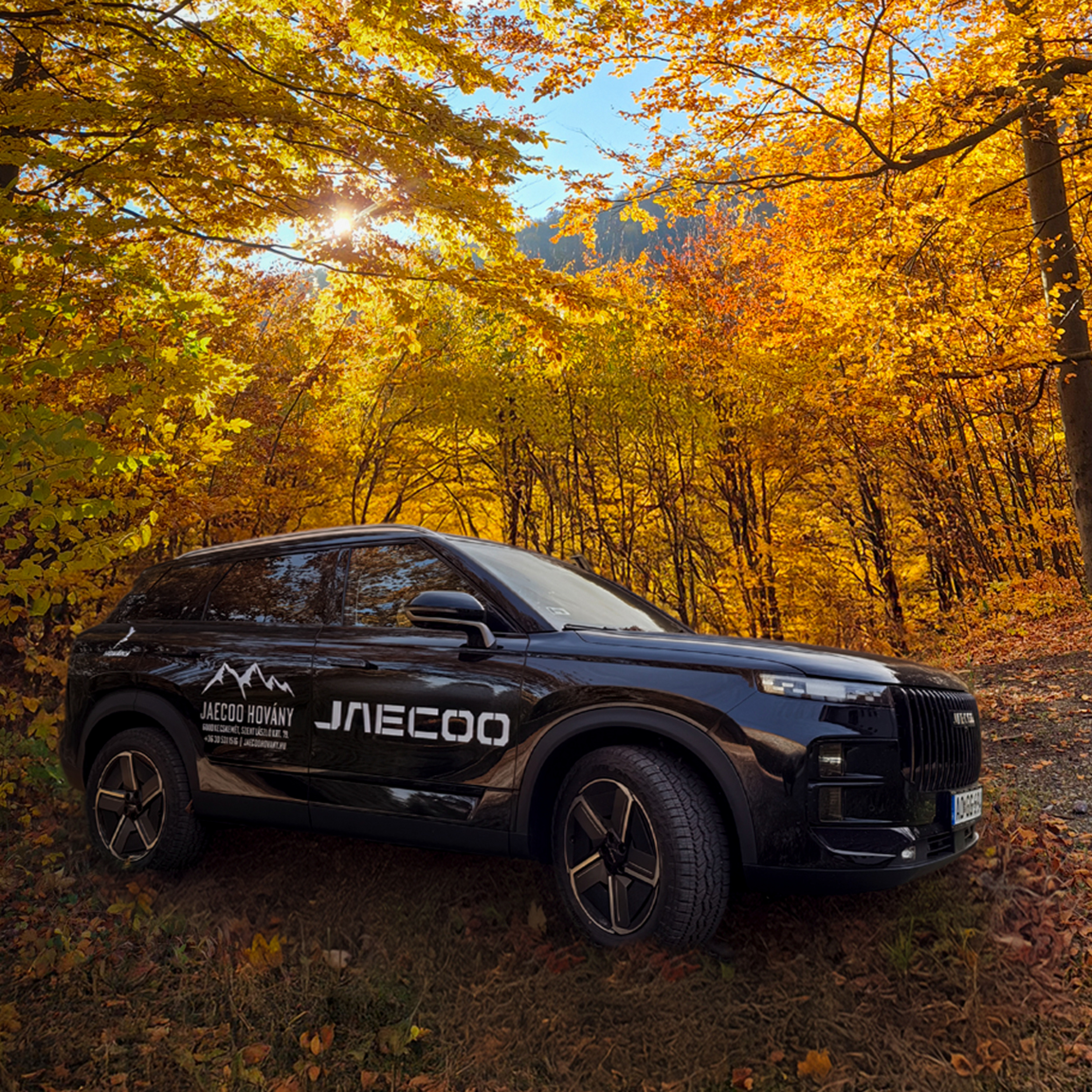 Rókamáj - Bors Richárddal