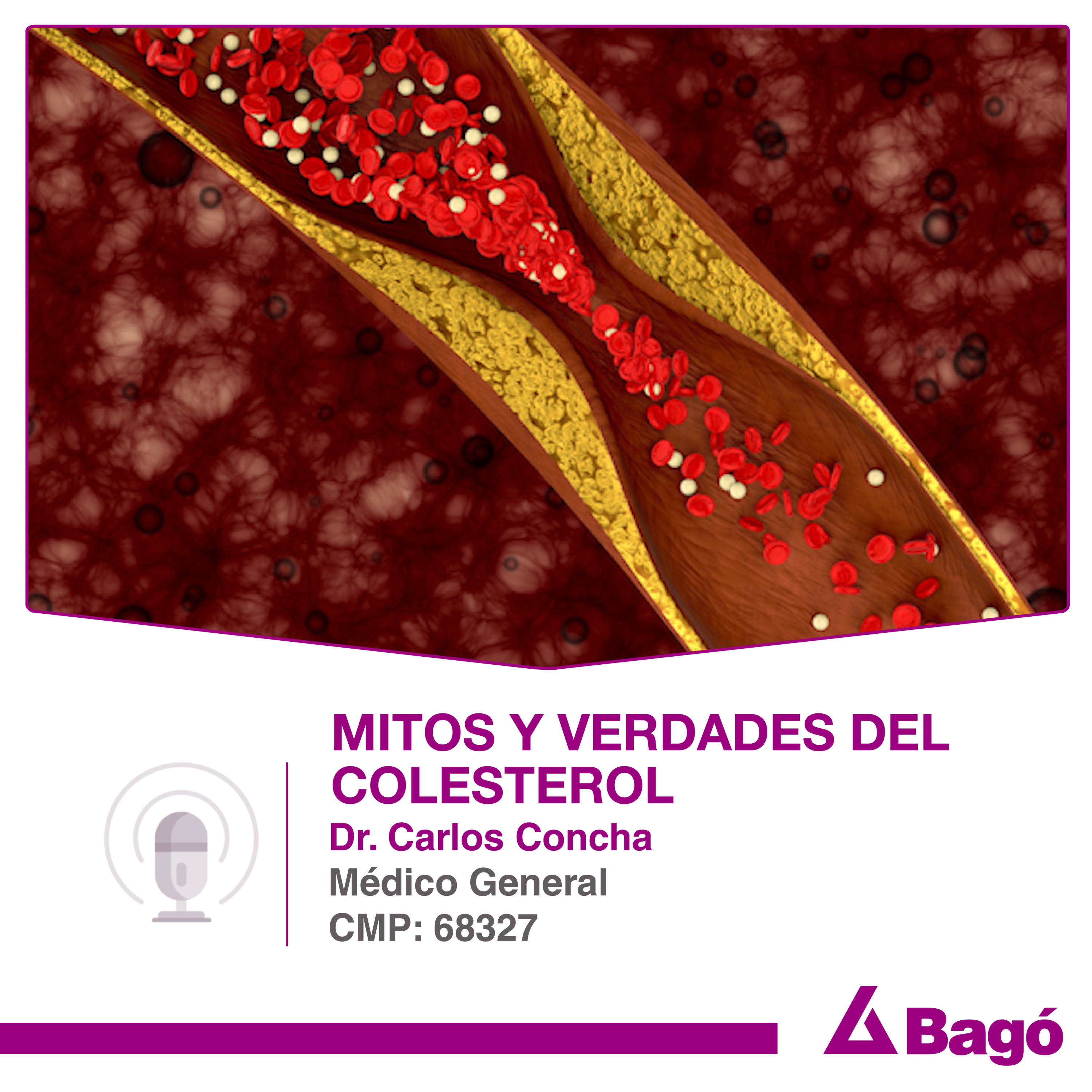 MITOS Y VERDADES DEL COLESTEROL episode artwork