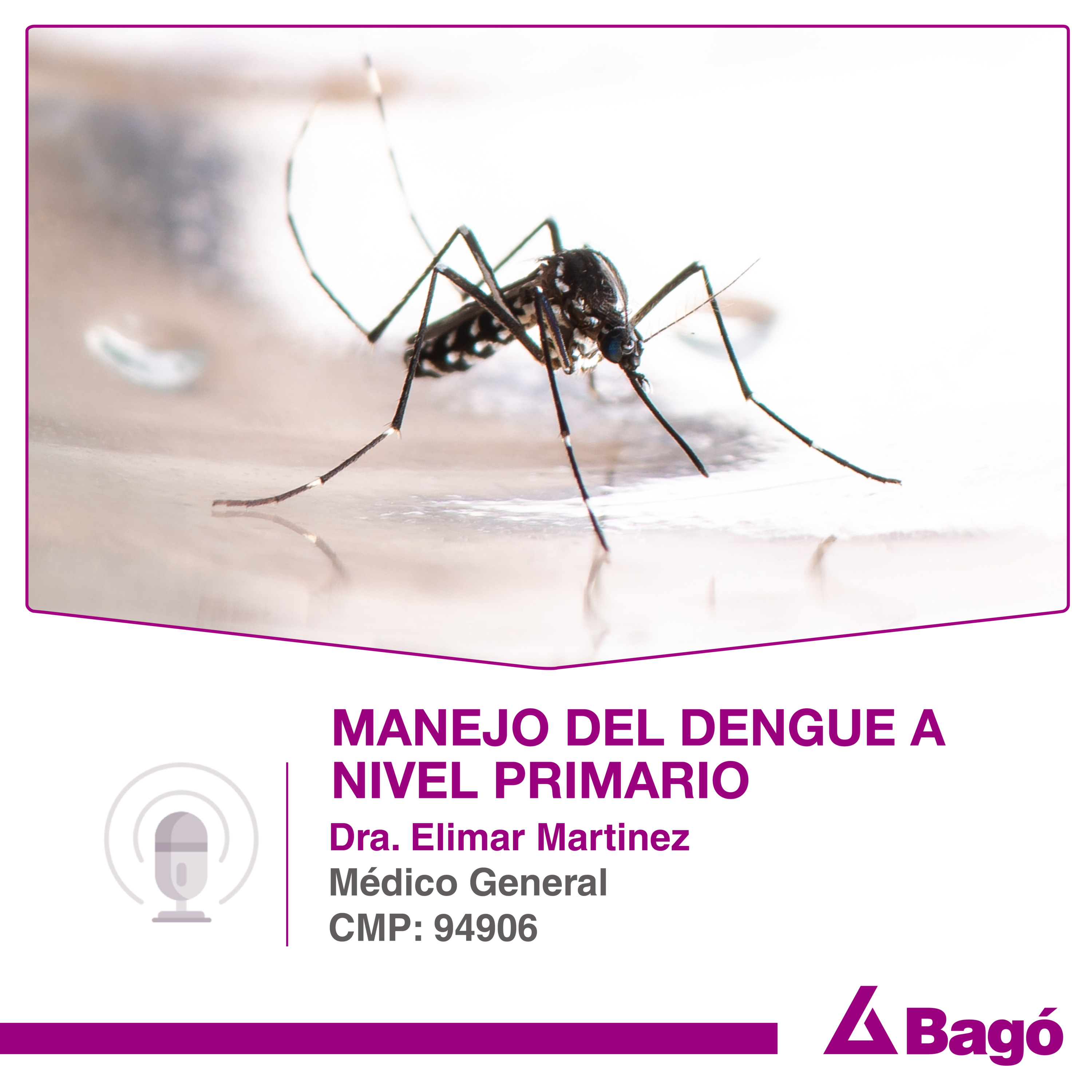 MANEJO DEL DENGUE A NIVEL PRIMARIO episode artwork