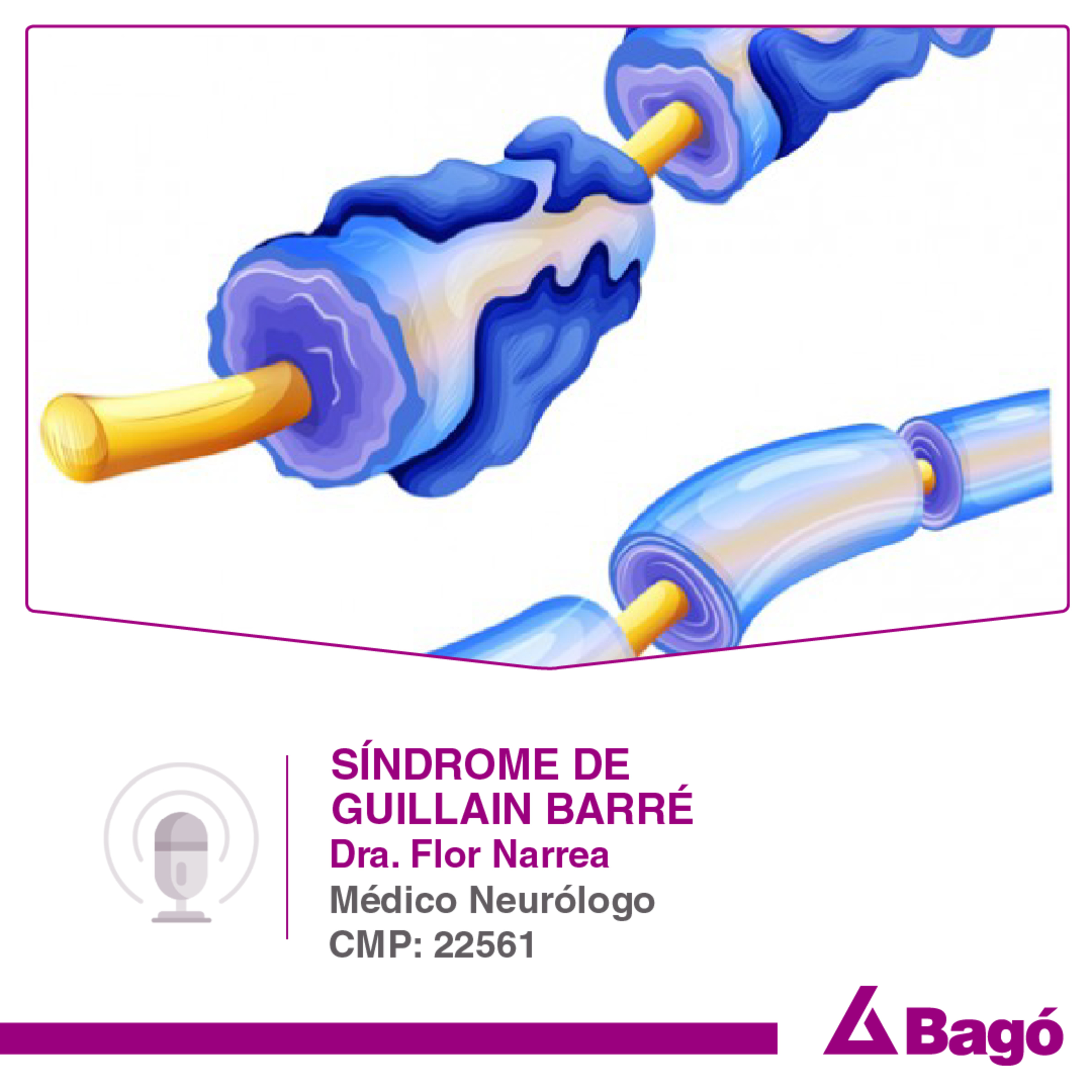 Sindrome de Guillain-Barre: una enfermedad autoinmune no contagiosa episode artwork