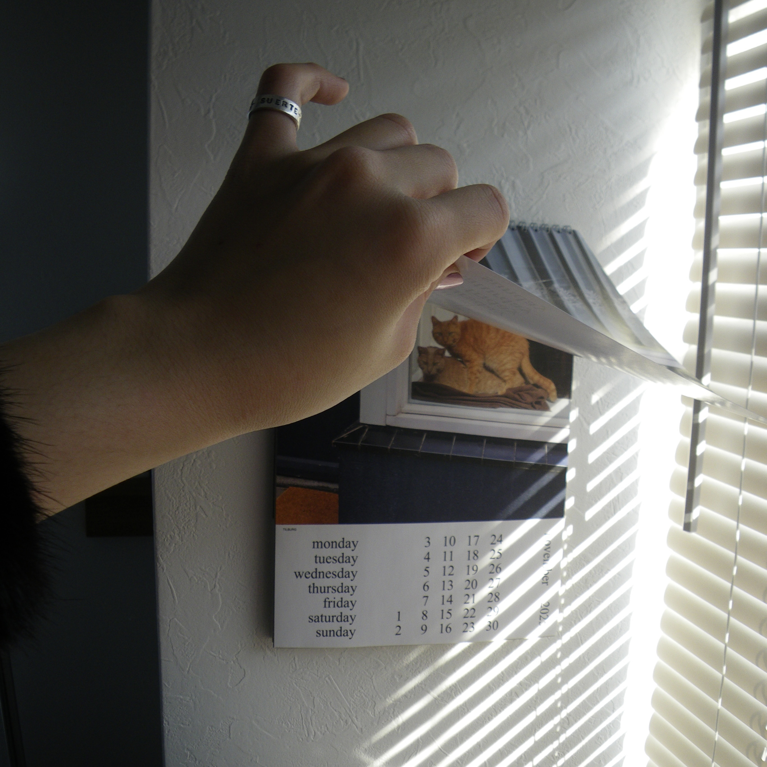 #60 ここはとても速い川