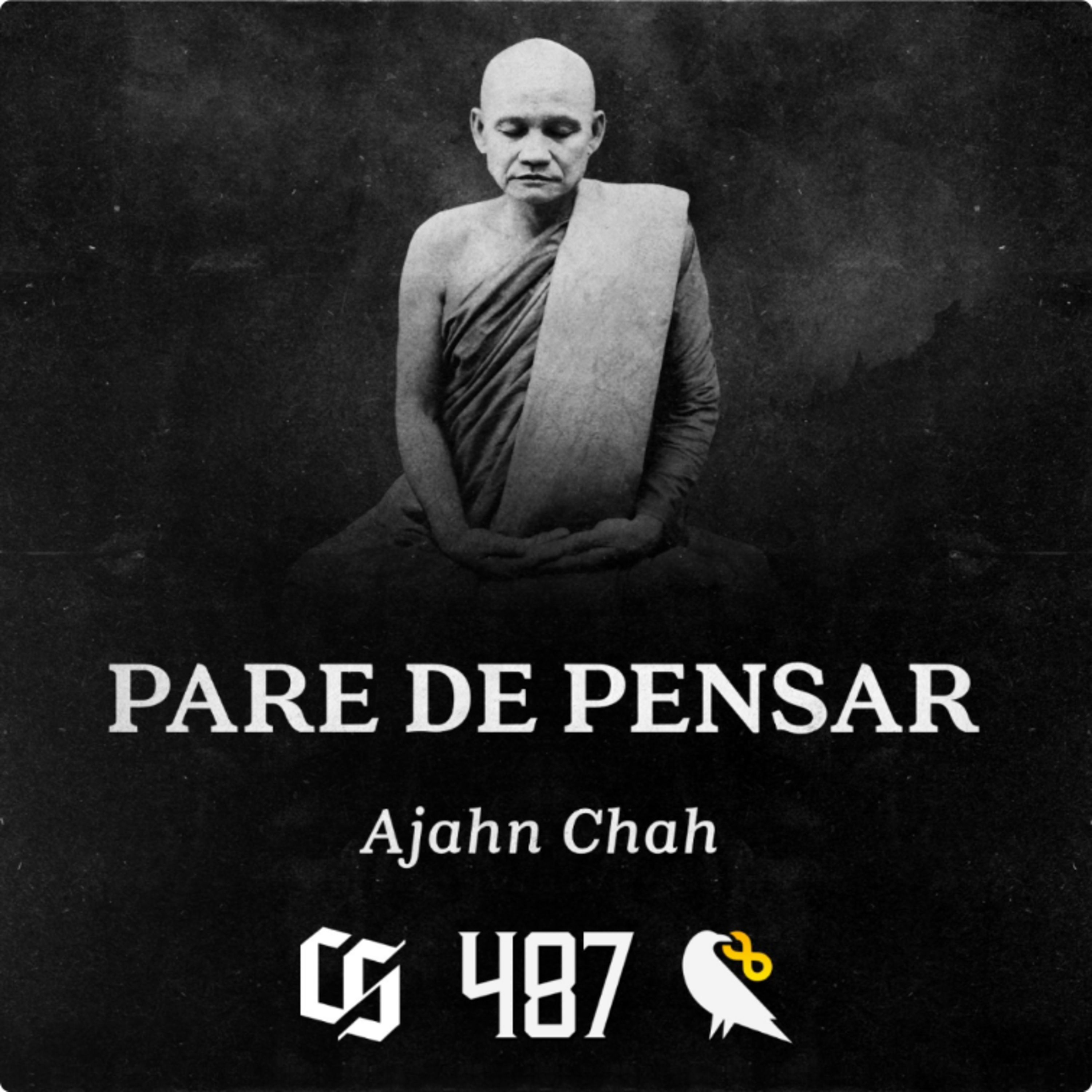 #487 - Ajahn Chah - Meditação - Pare de Pensar