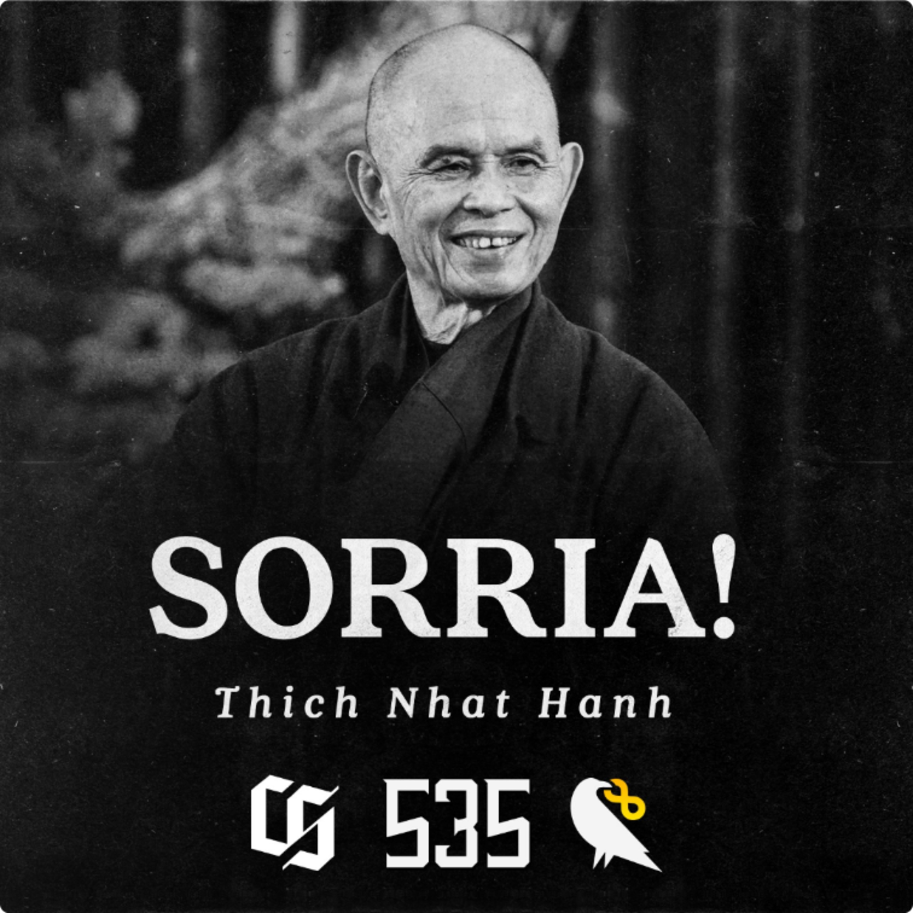 #535 Thich Nhat Hanh - Sorria!