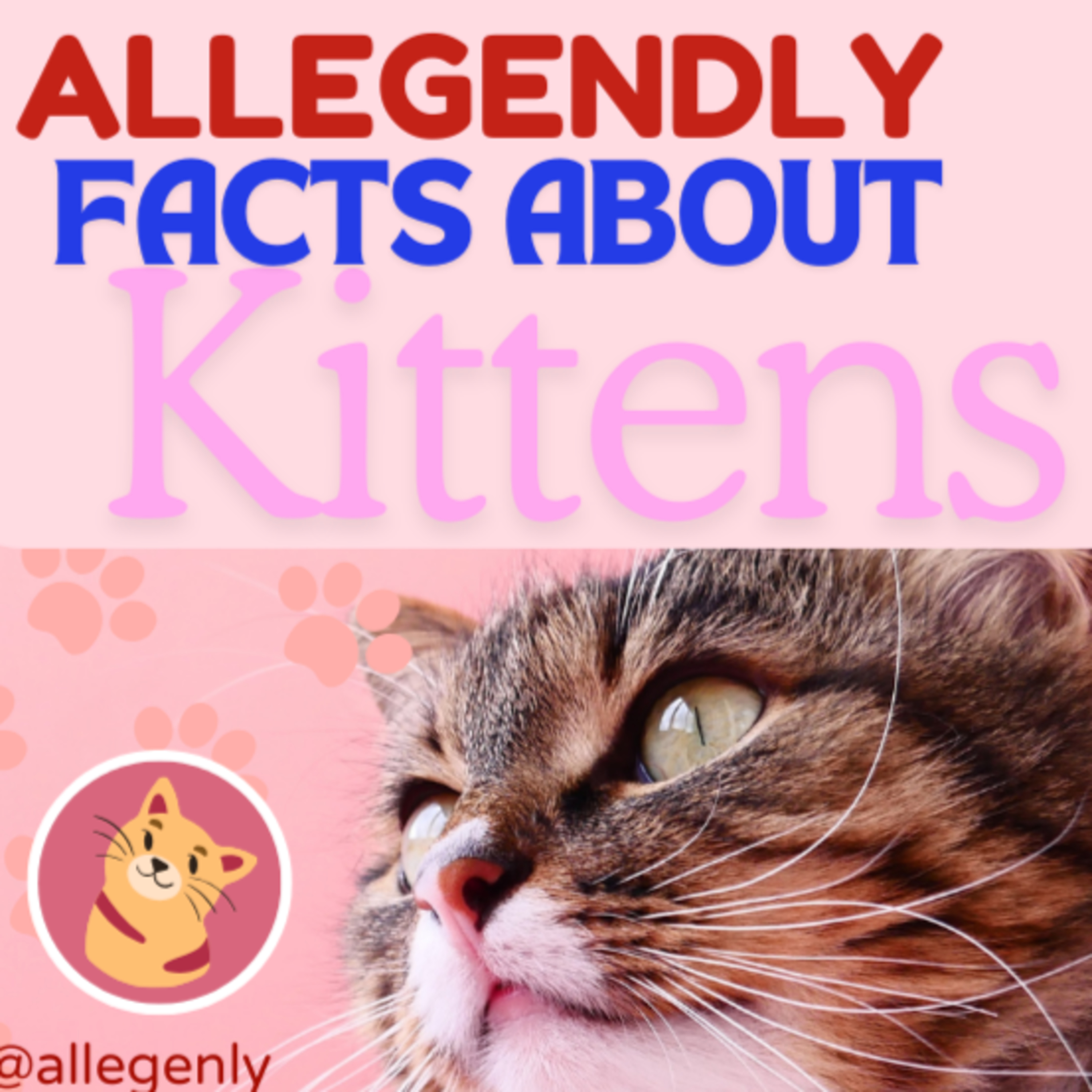 Allegendly Facts About Kittens