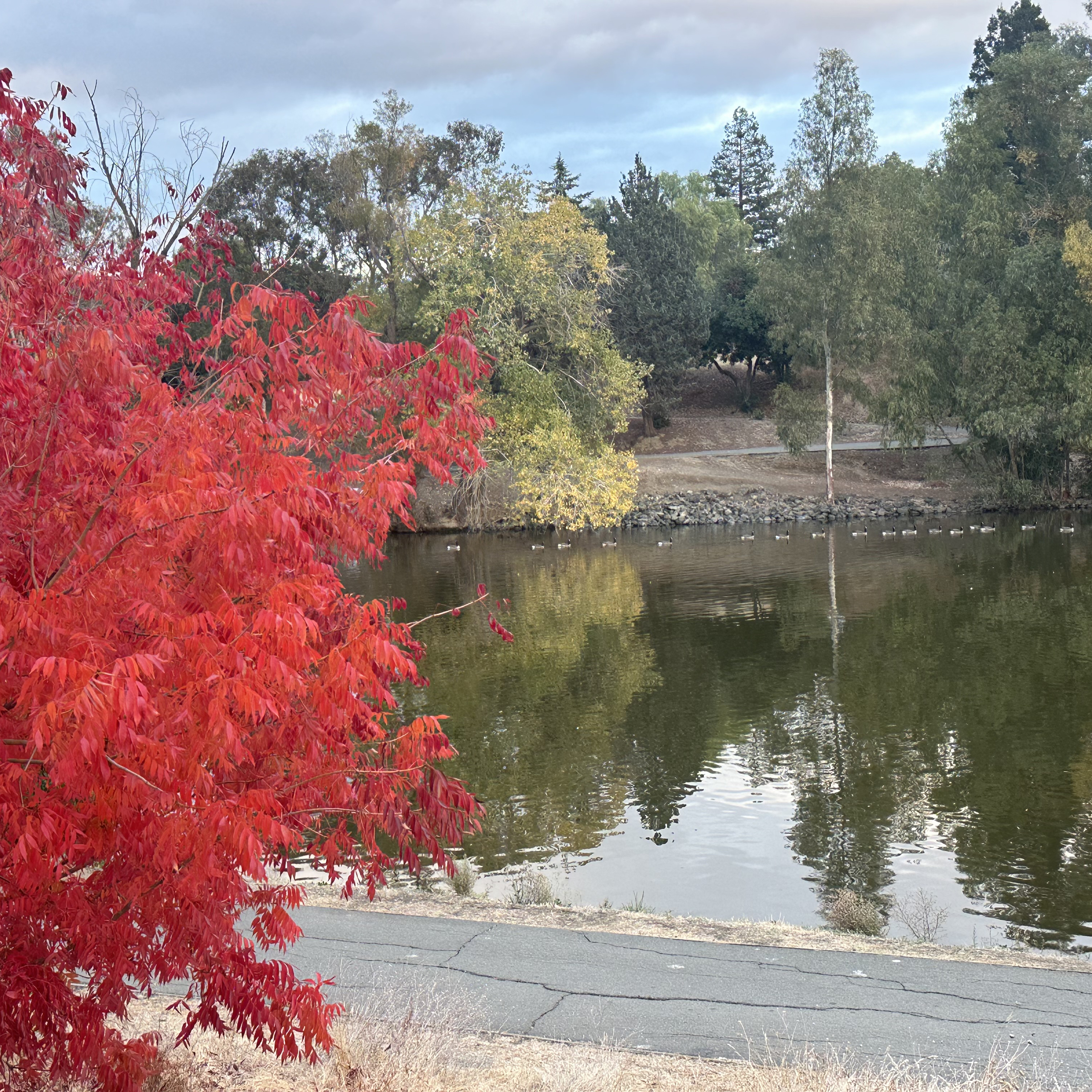 Walking Scriptures 19