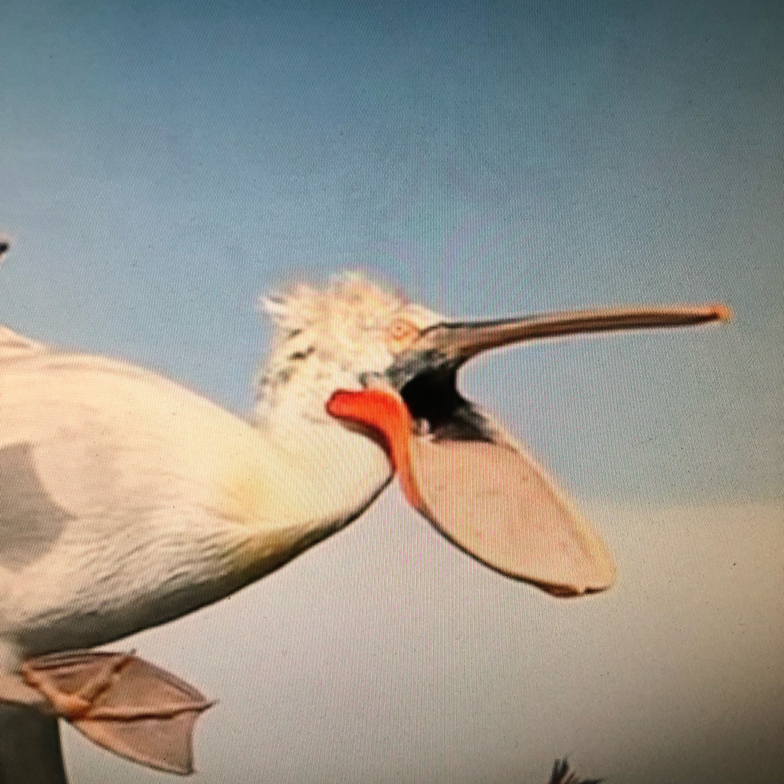 Walking Scriptures 20