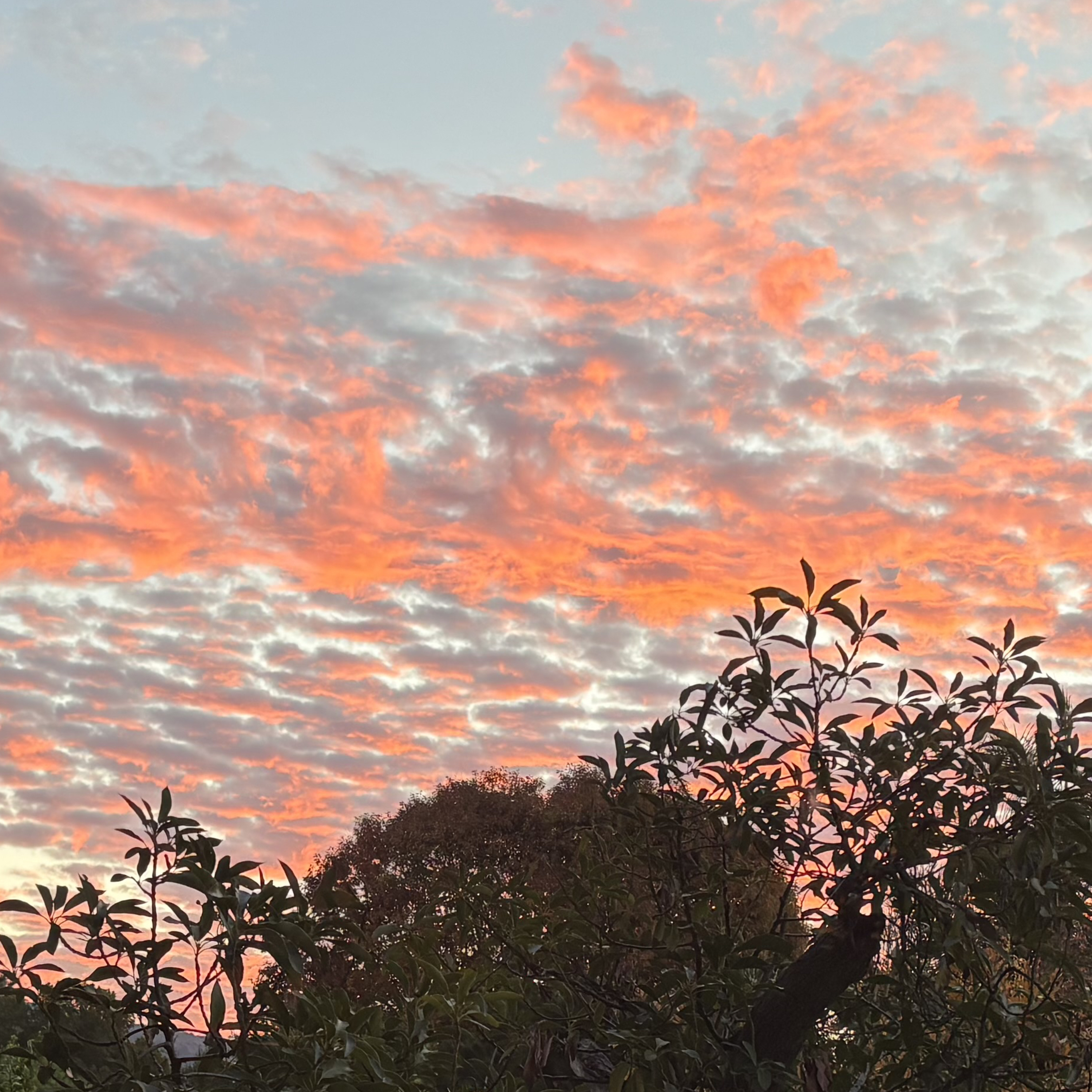 Humor in heaven? NDE