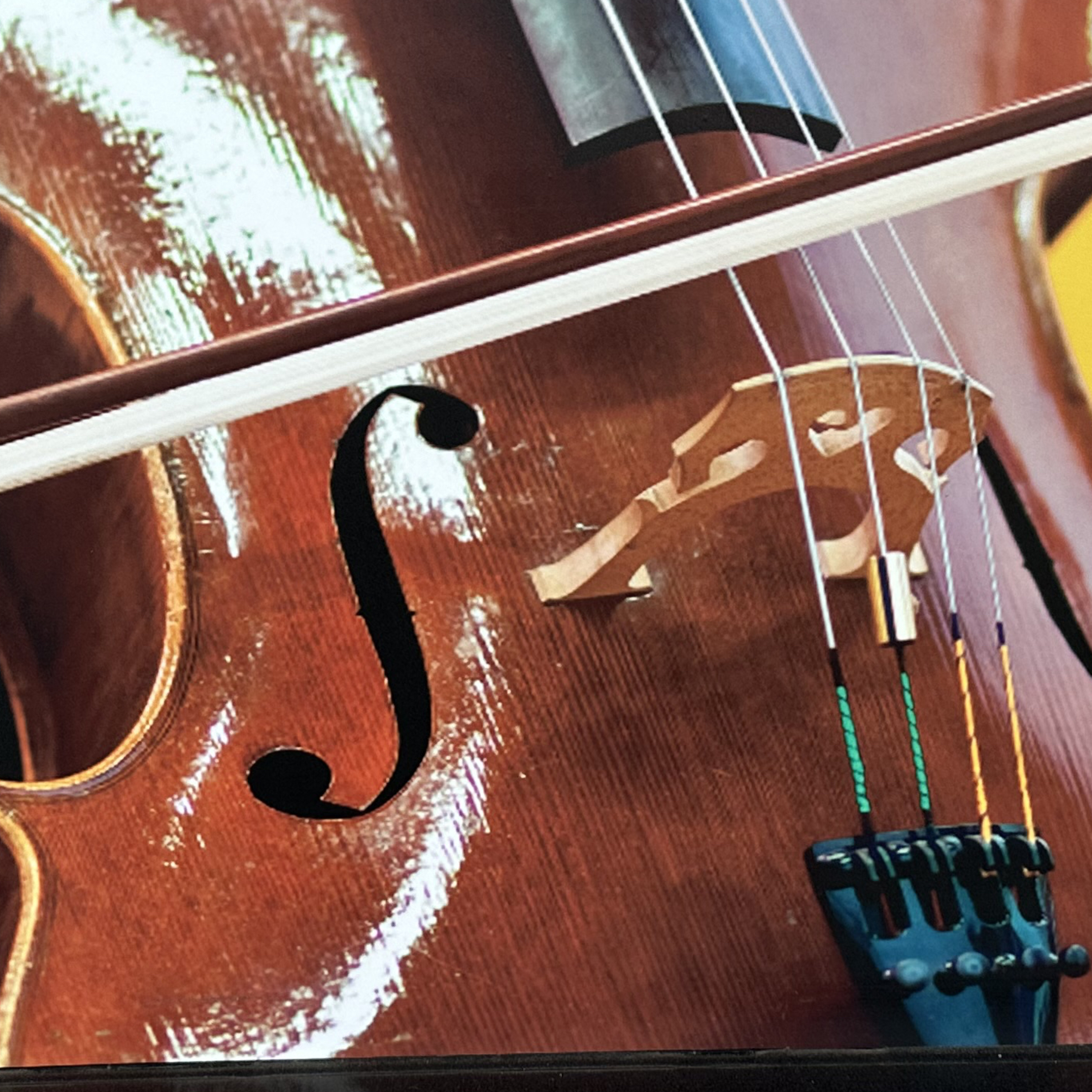 Book Reviews “I Will”