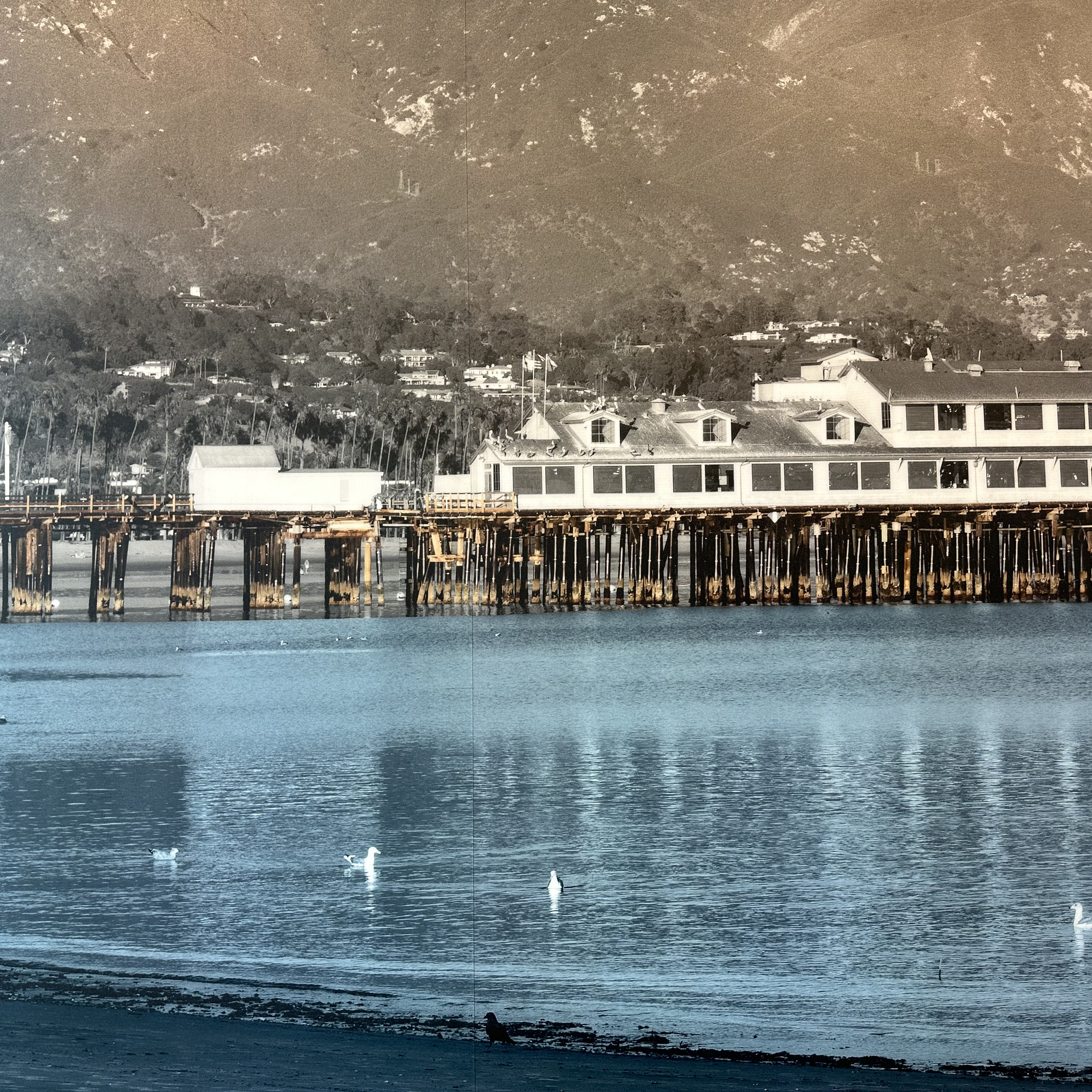 Some where fools: Psalms