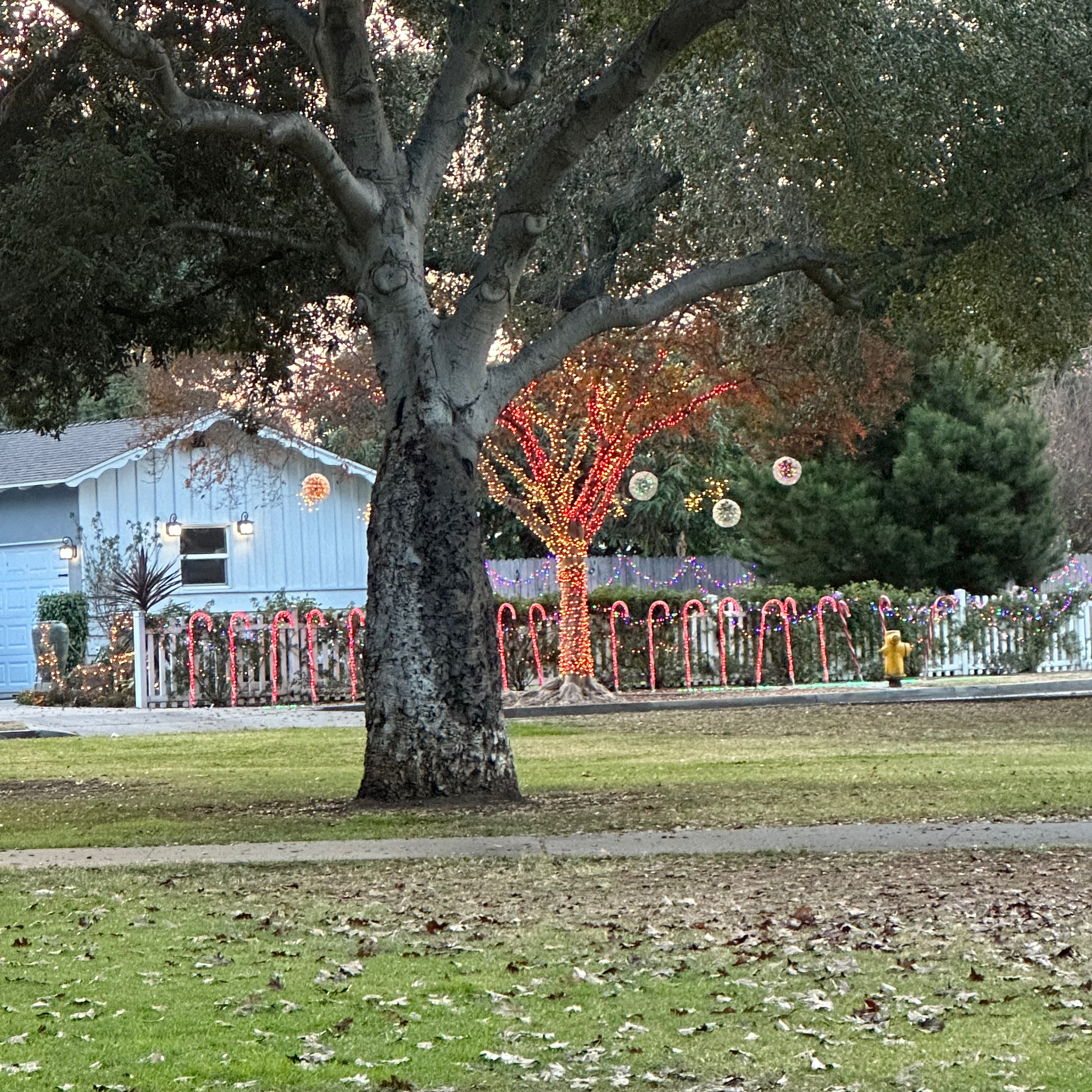 AA man at work Dec 27