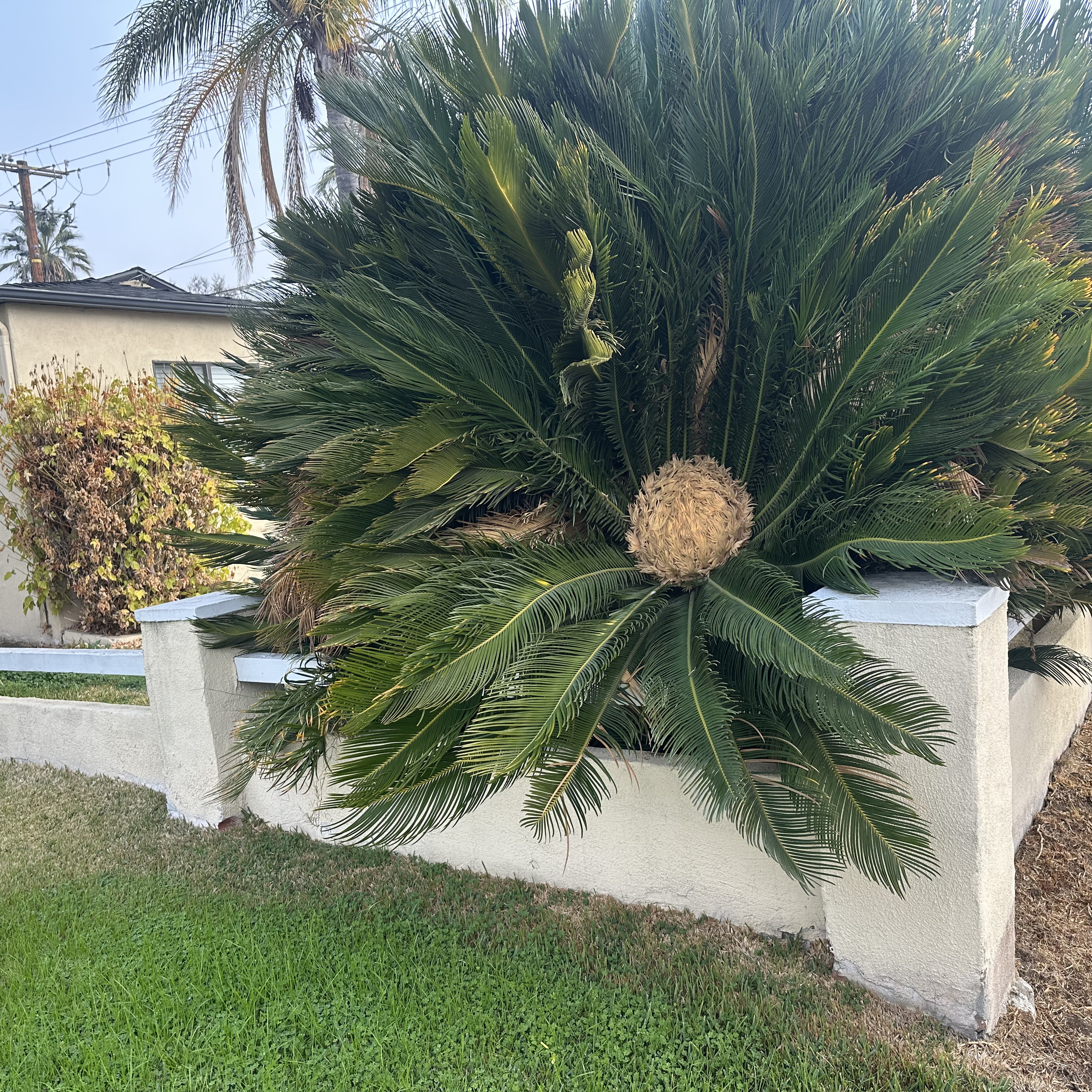 Jesus way to The Father 5