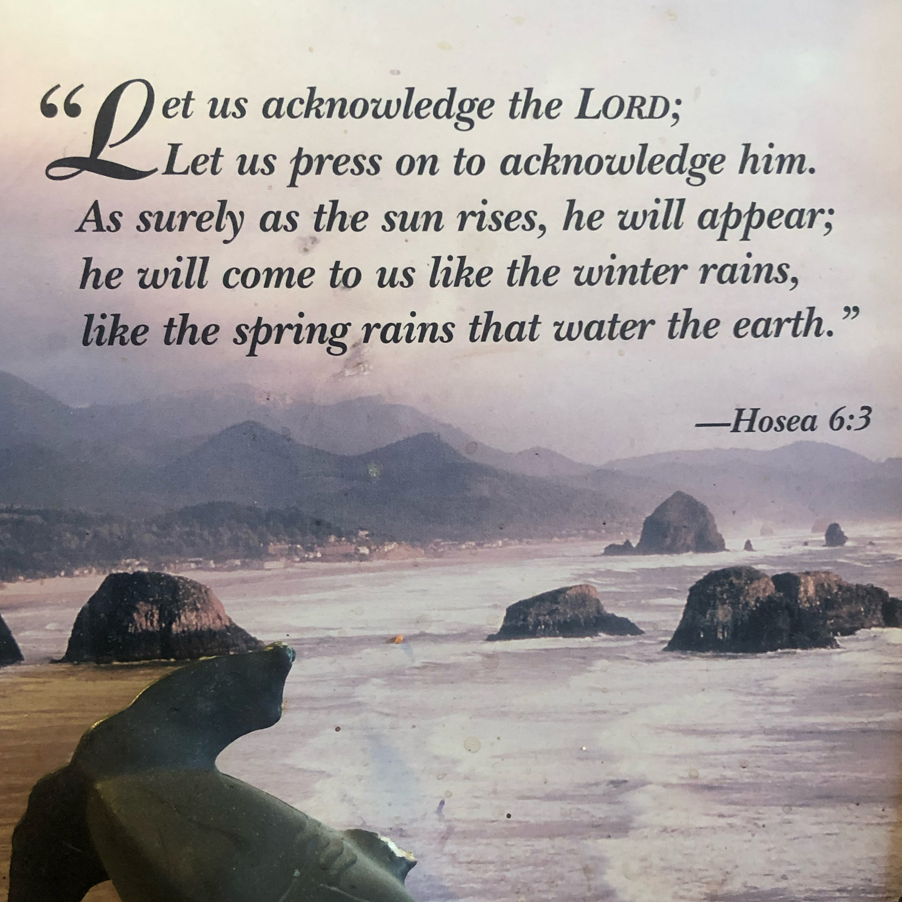 God‘s secret weapon 13