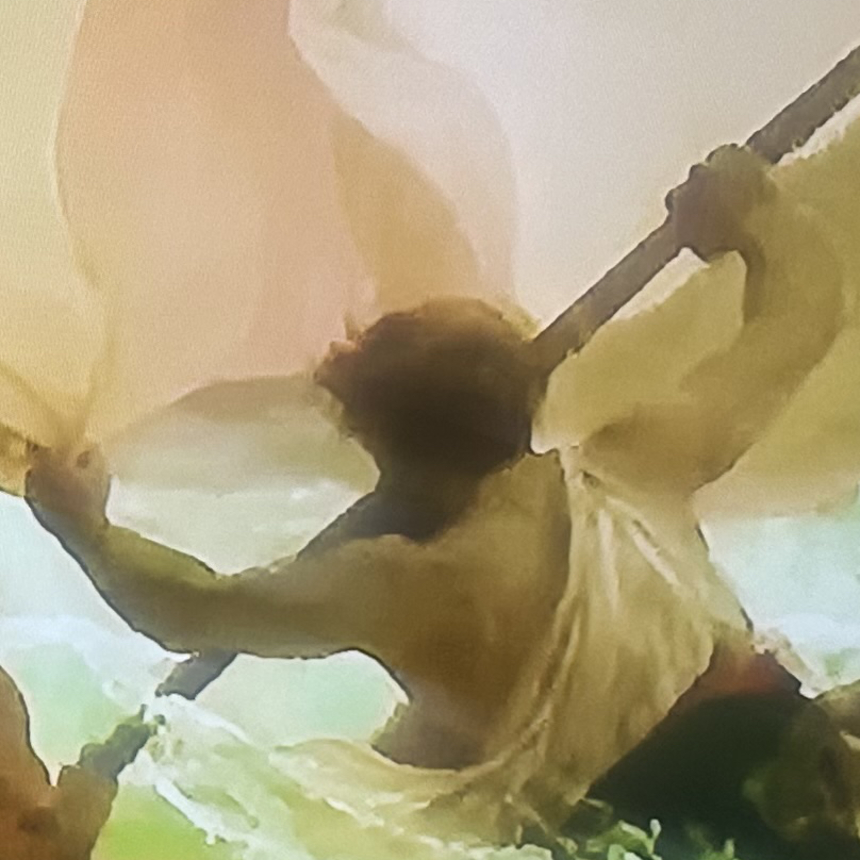 Anna prophetic voice