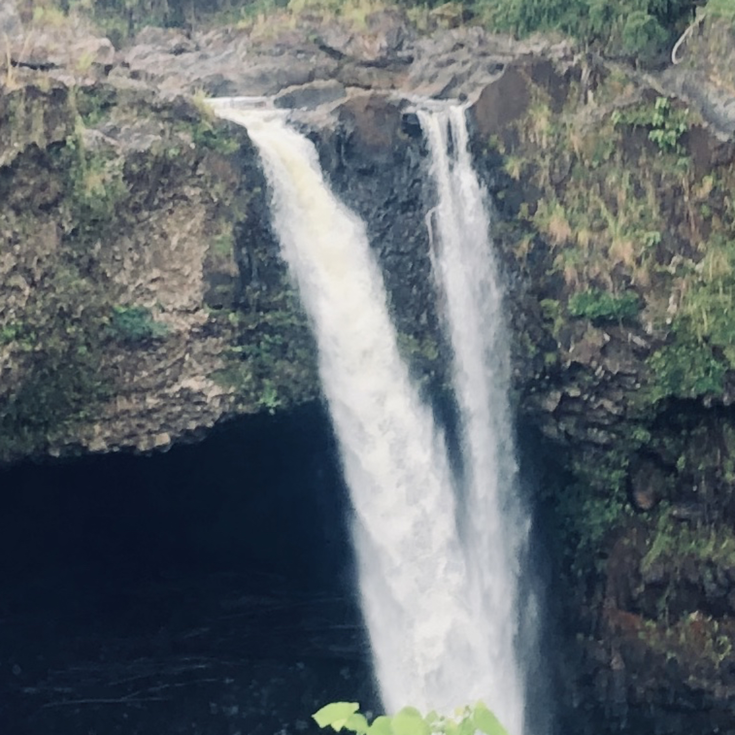 Sharing AA 24hrs Jan 19