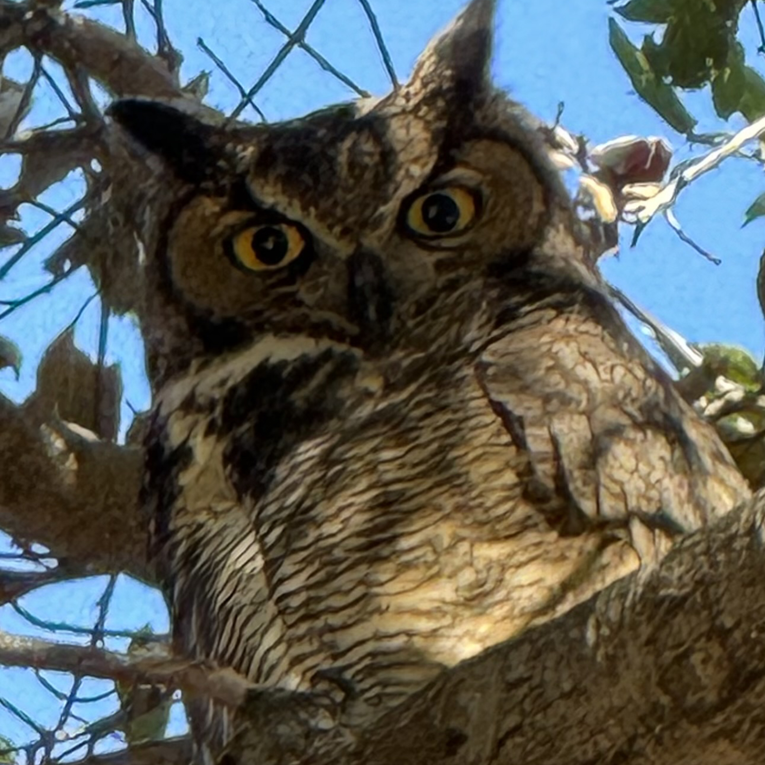 Bible Study, Jan 22/25