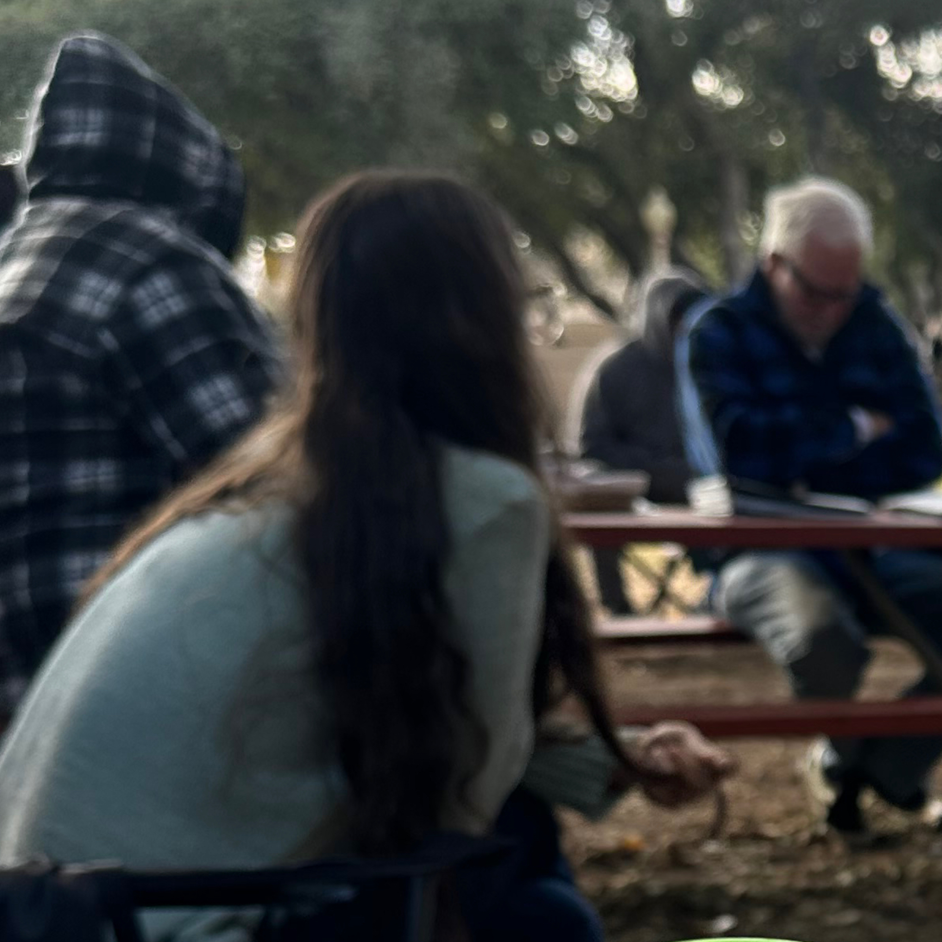 Al-Anon Reading Basic Format