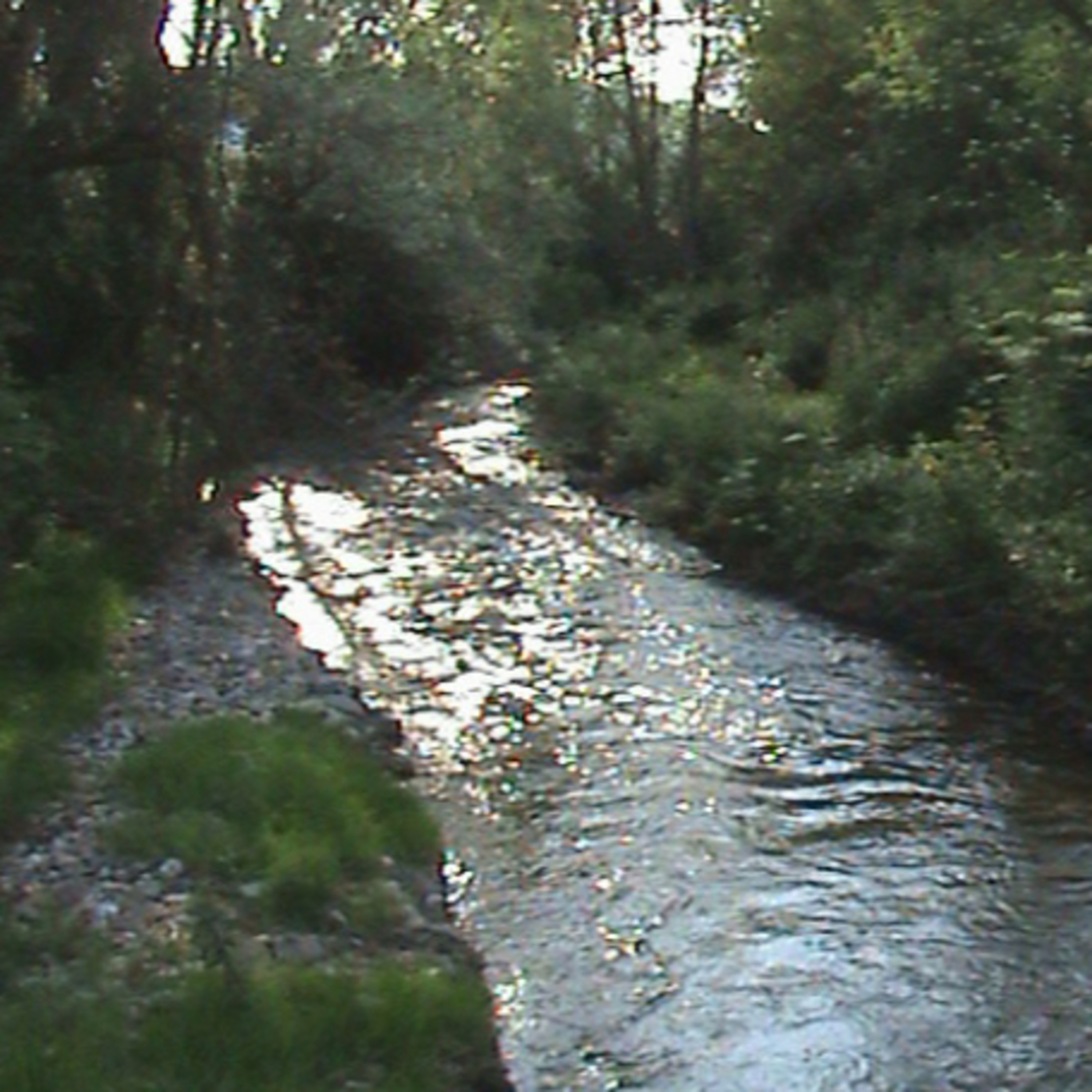 Crossing the river of denial