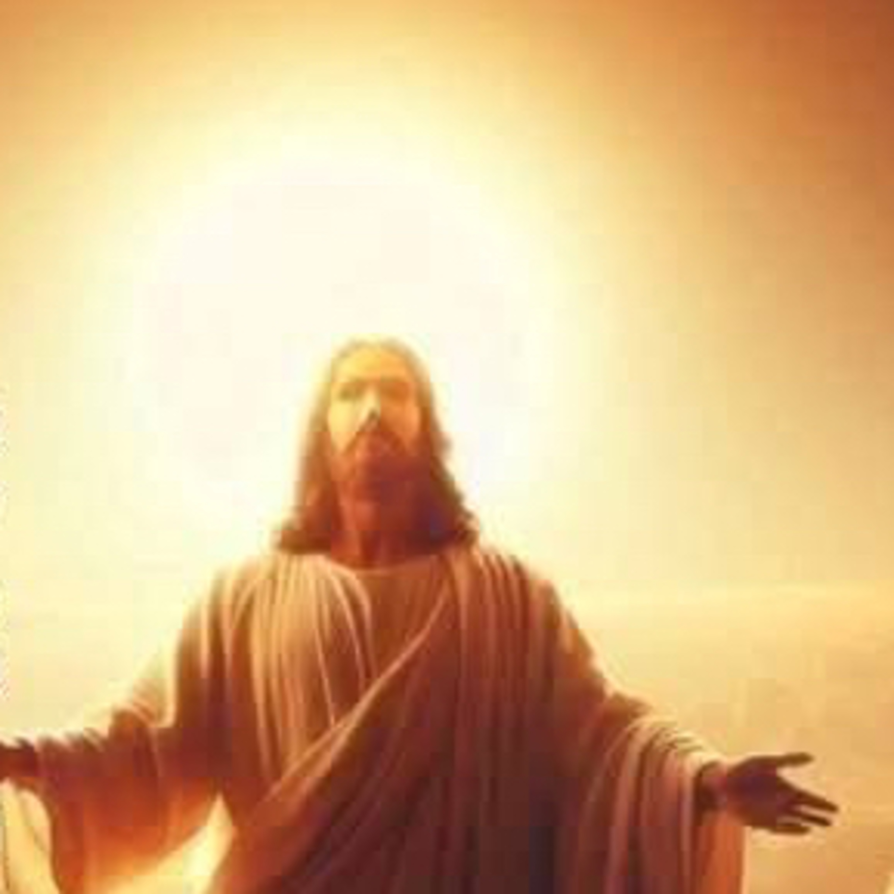 Biblia Breve Juan 11-12