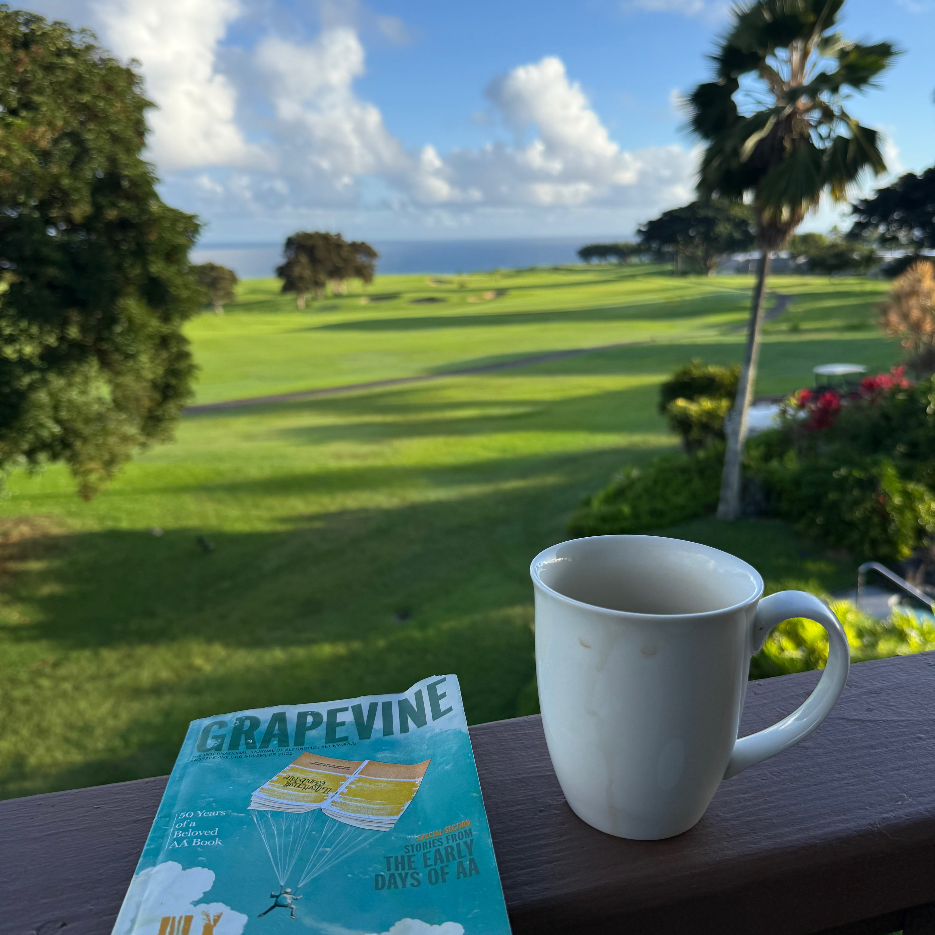 AAGV Topic Meditation