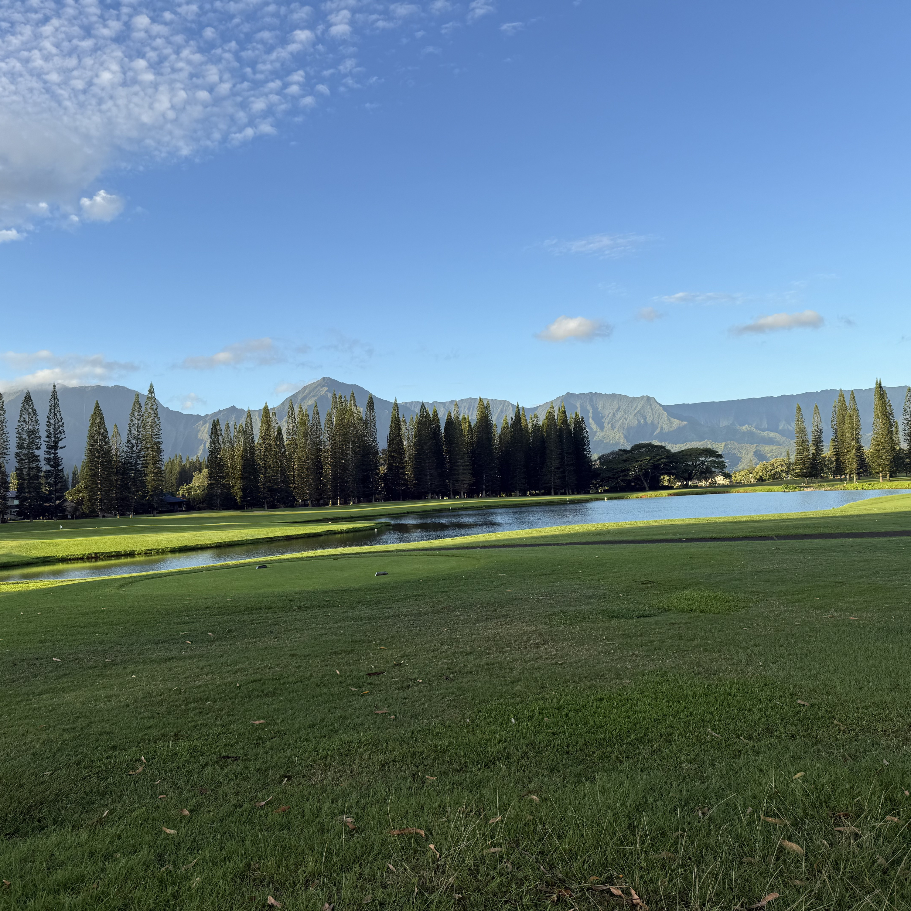 Bible Study: Life in all its FULLNESS