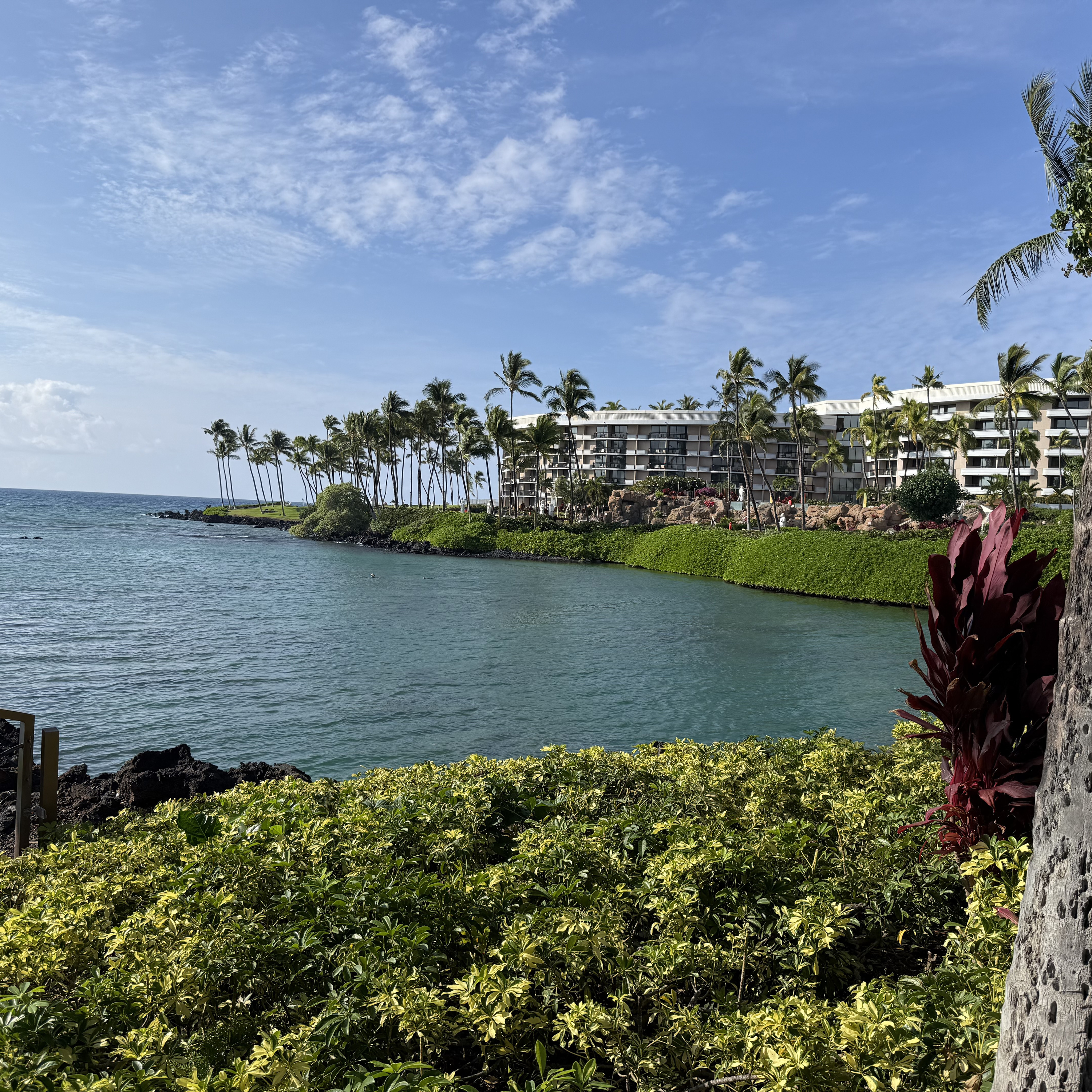 Book: Man’s search for meaning.