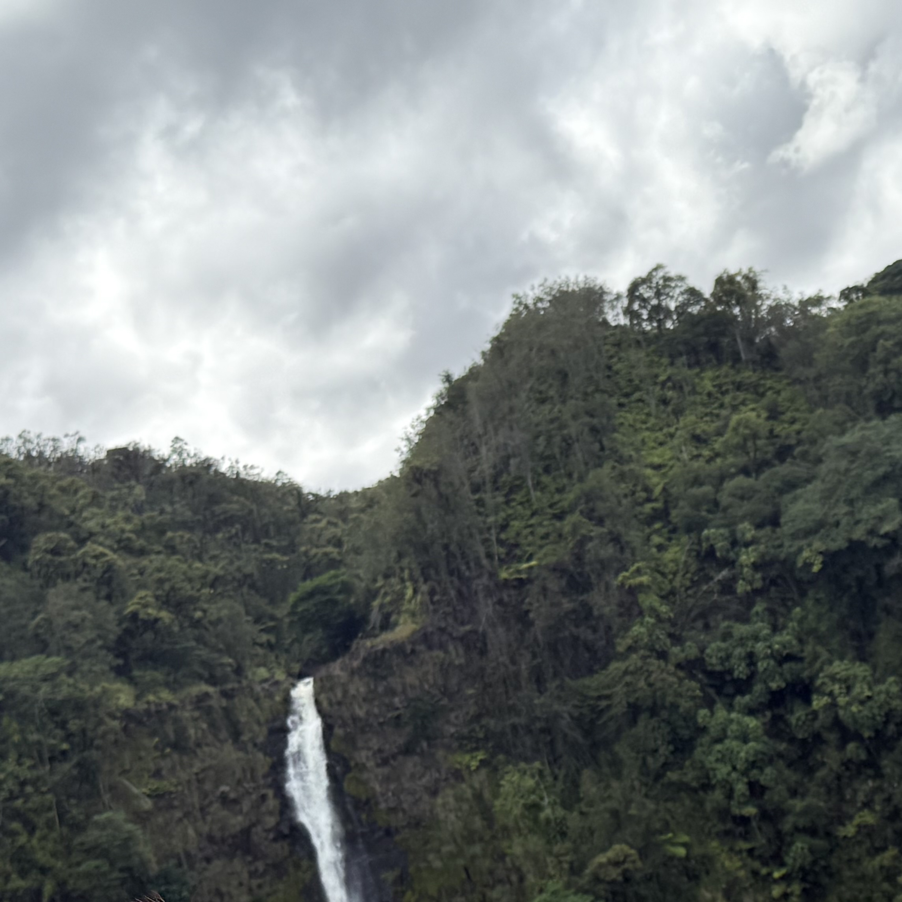 Meditation on Gods words