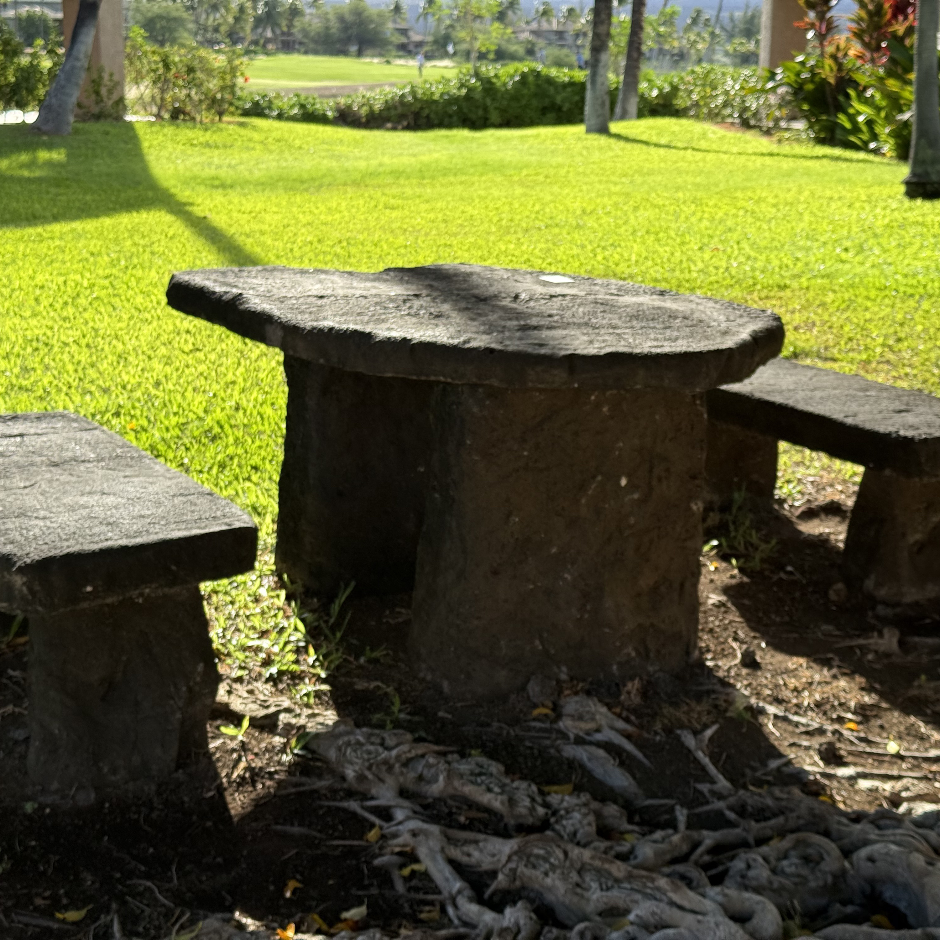 AA Daily Reprieve; Discard