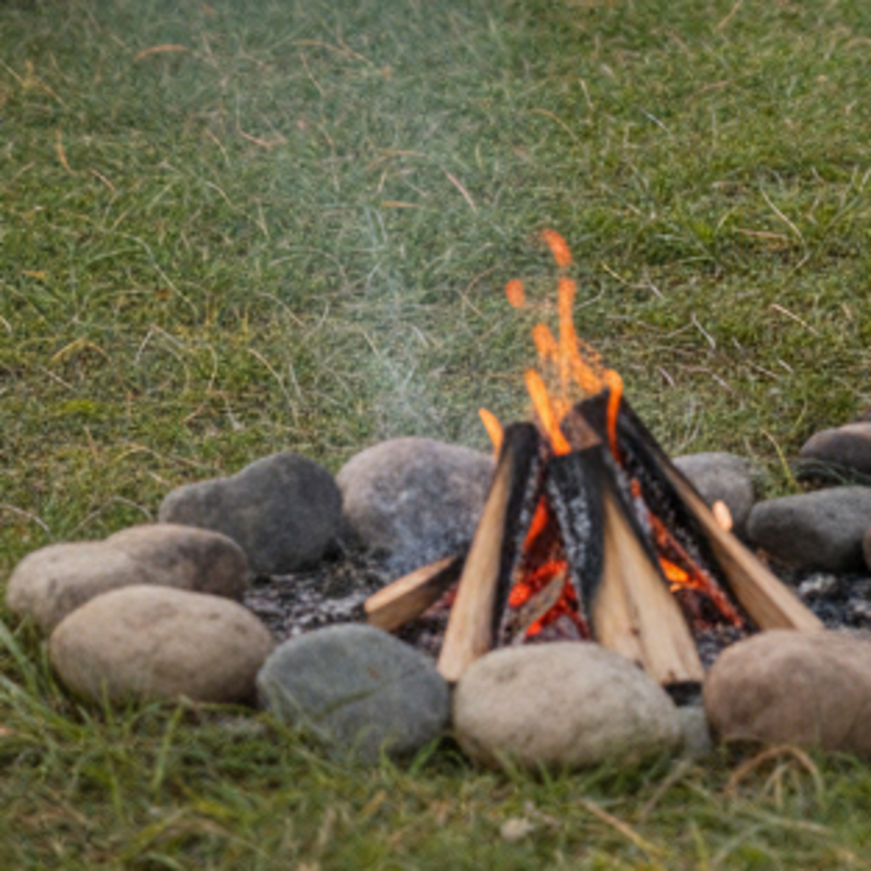 Salmos de Alabanzas. A su gusto!
