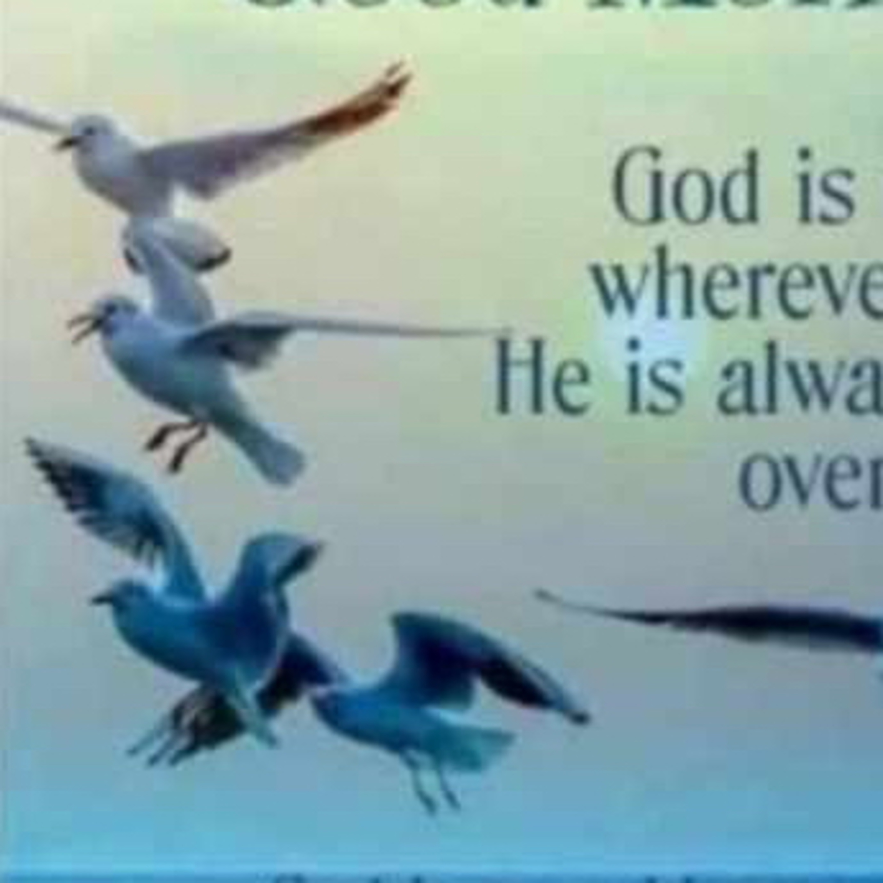 AA Daily Beliefs Dec 8-15