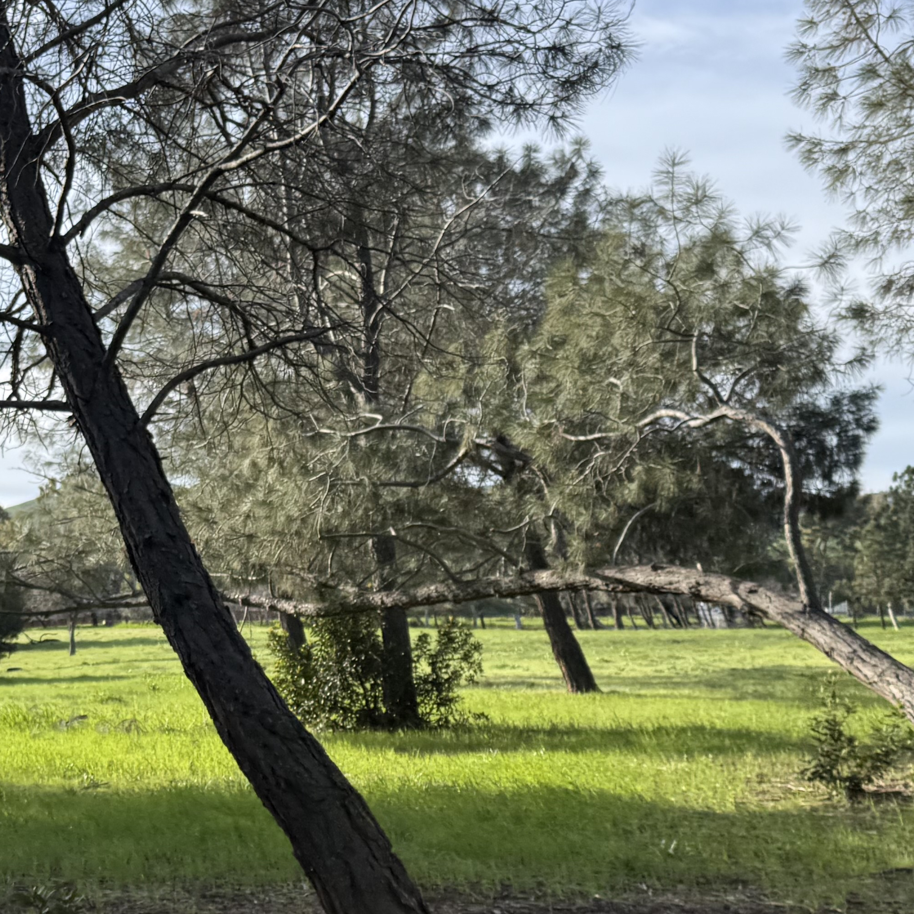 AA Meeting; solutions