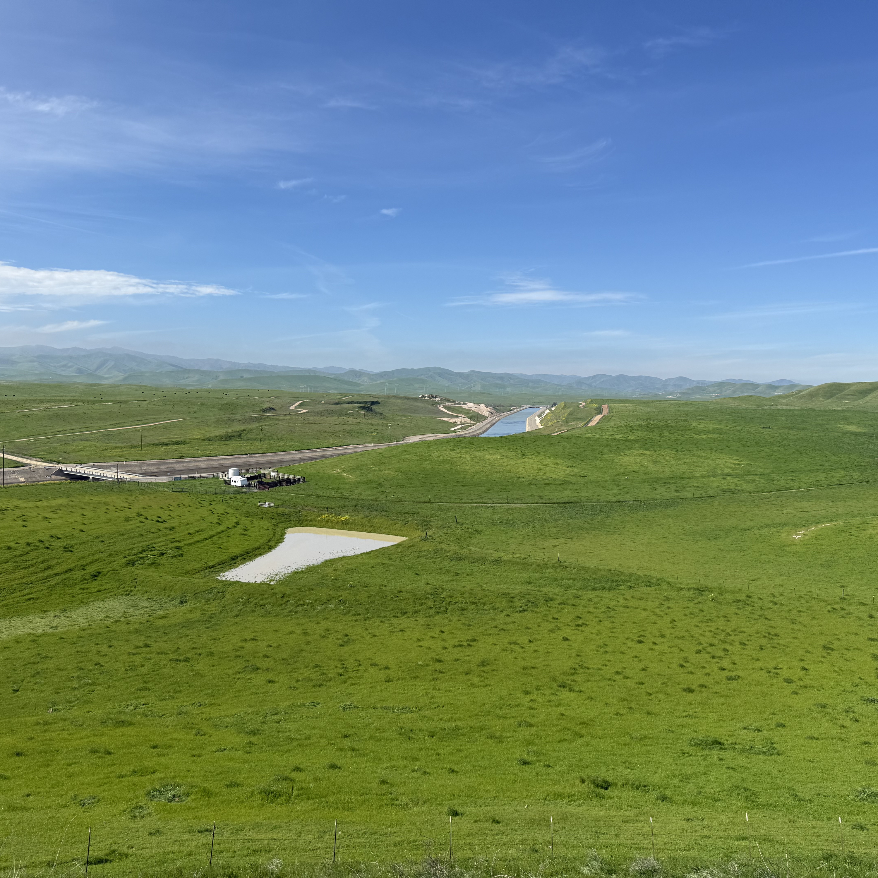 AA Daily literature and Bible