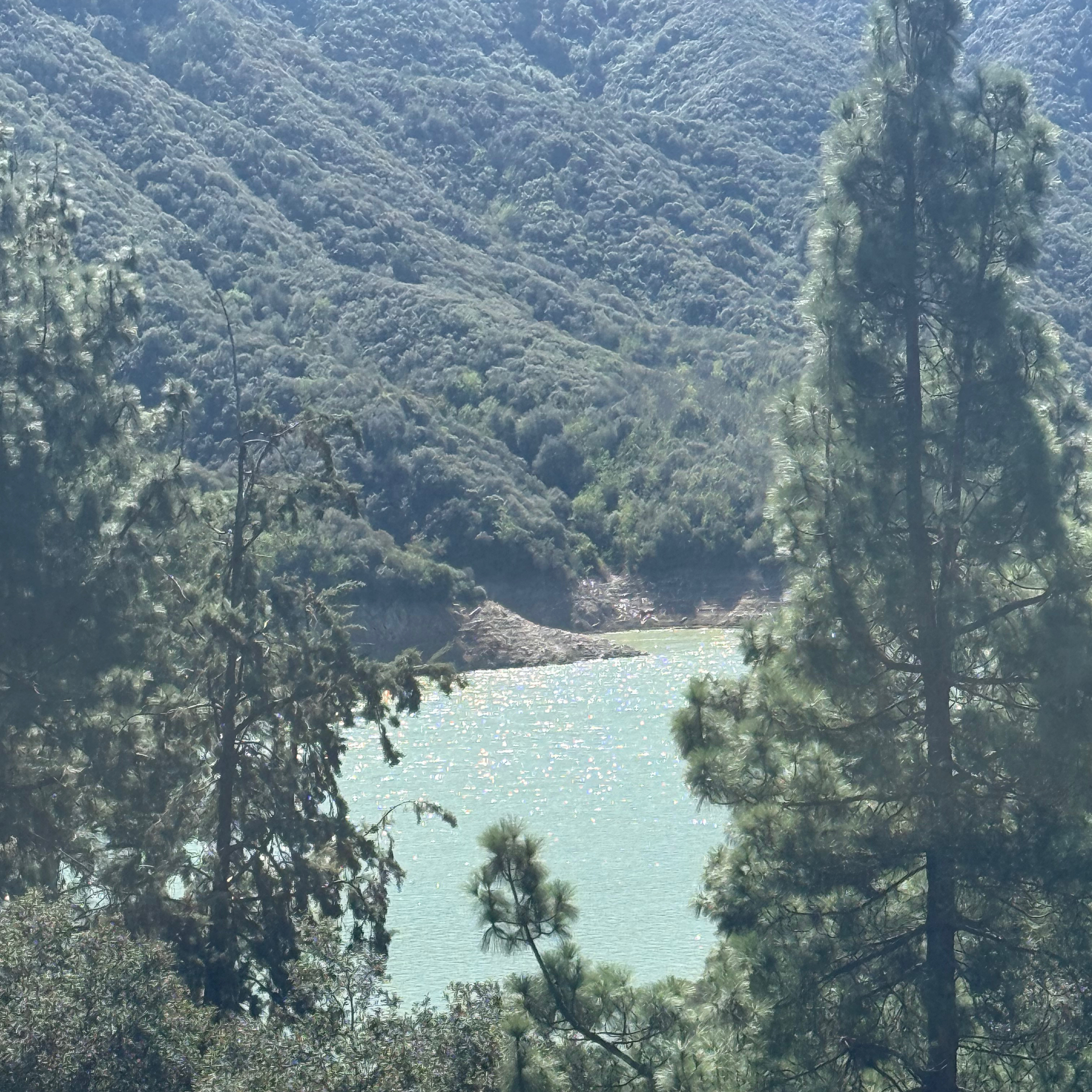 Scripture to Live by