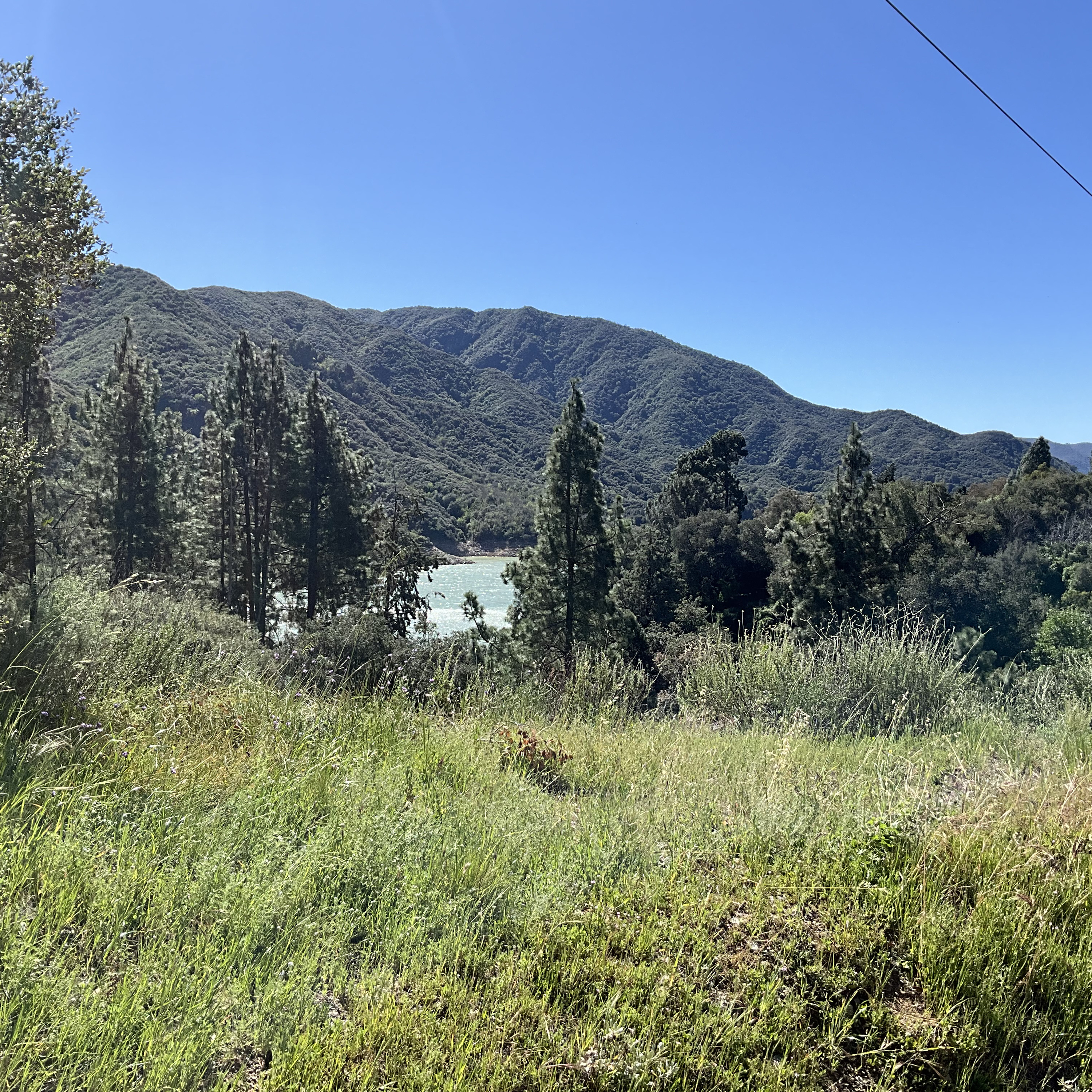 AA Pregón de la Sabiduria