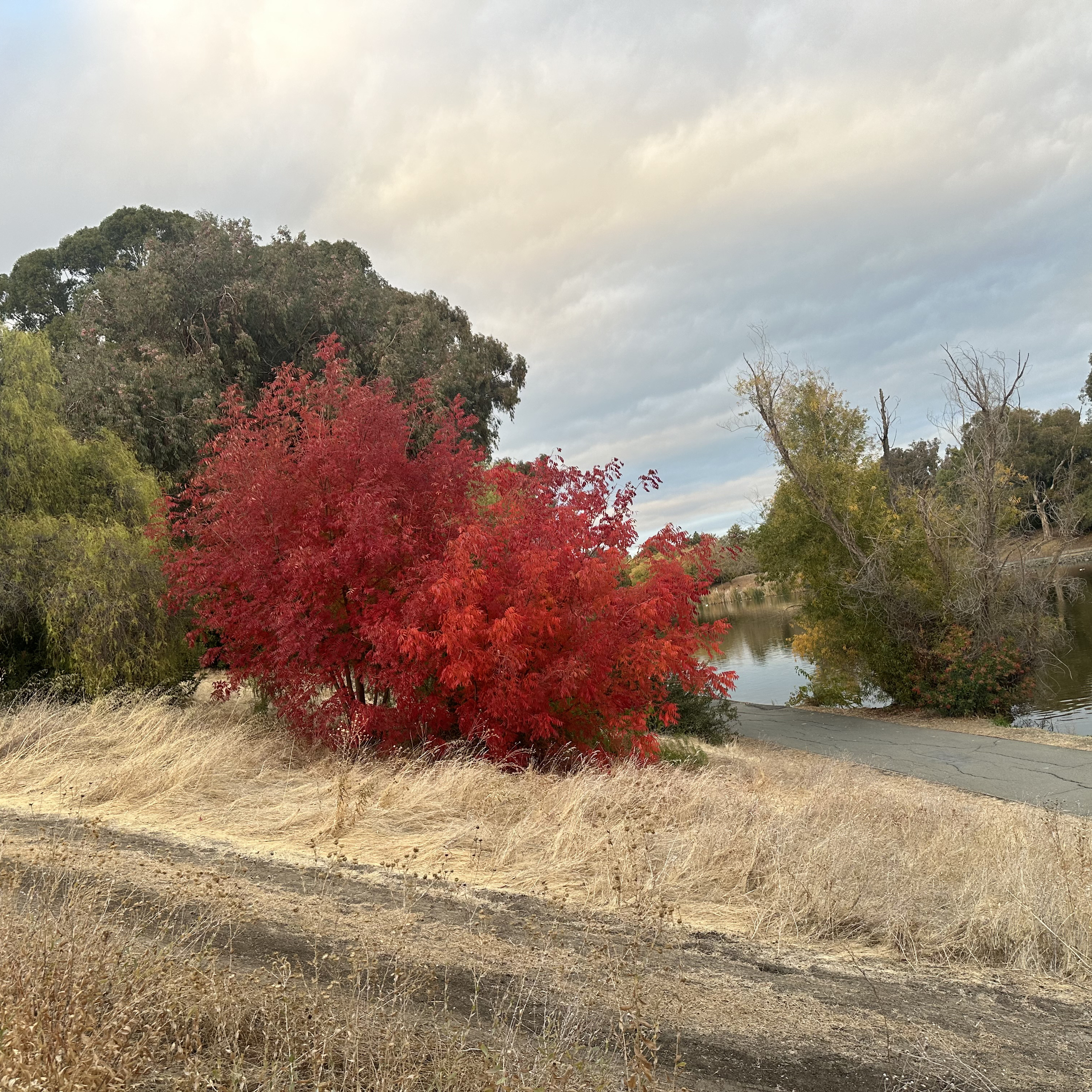 Walking Scripture 19