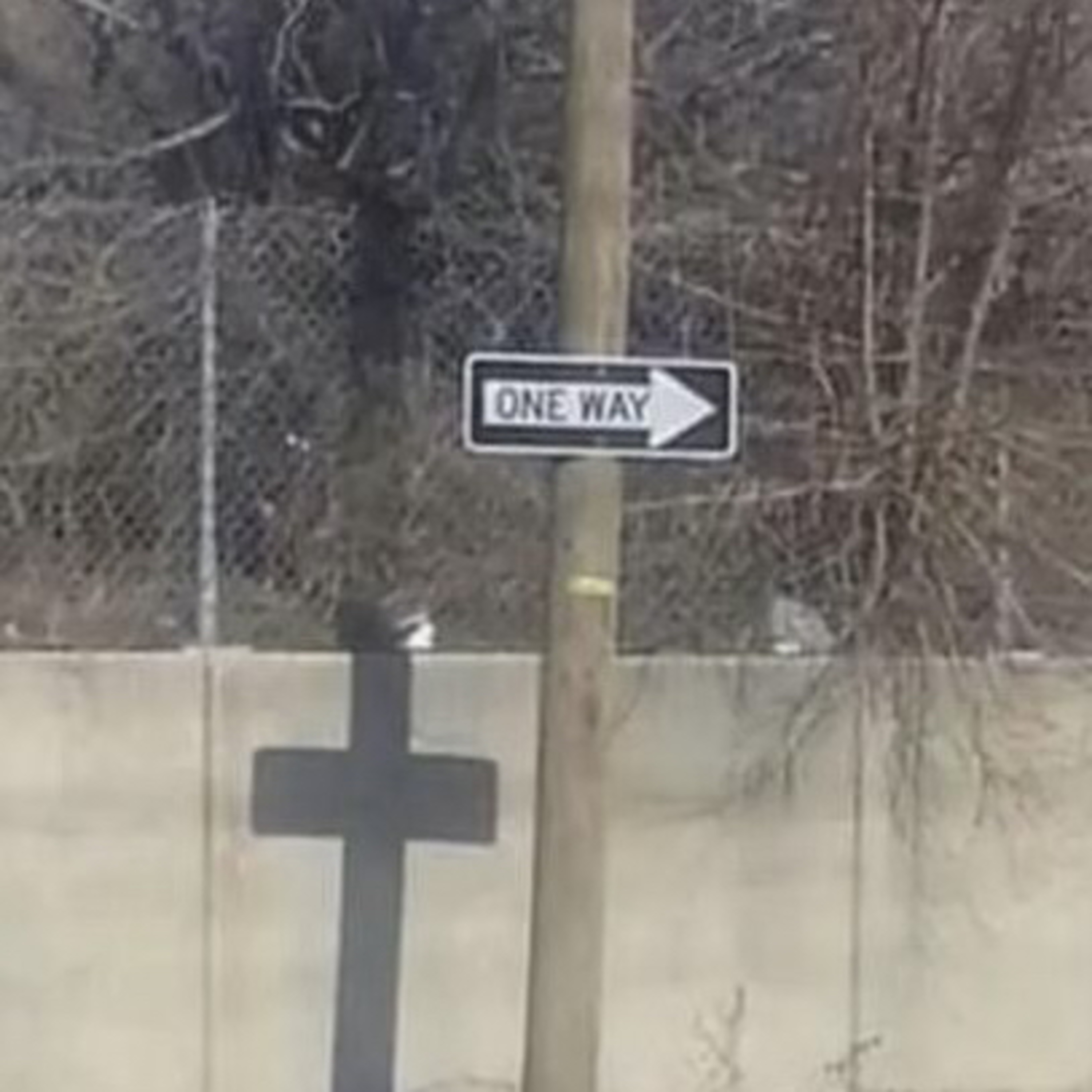 Walking Pastor 25