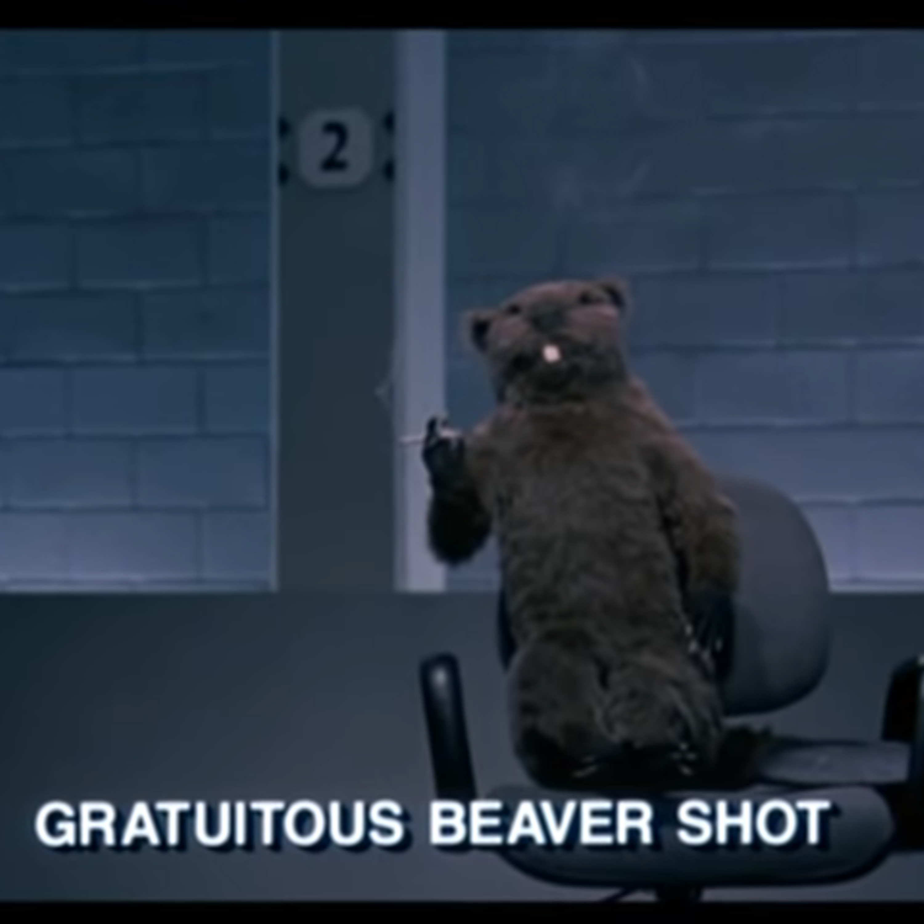 The Movie Draft House