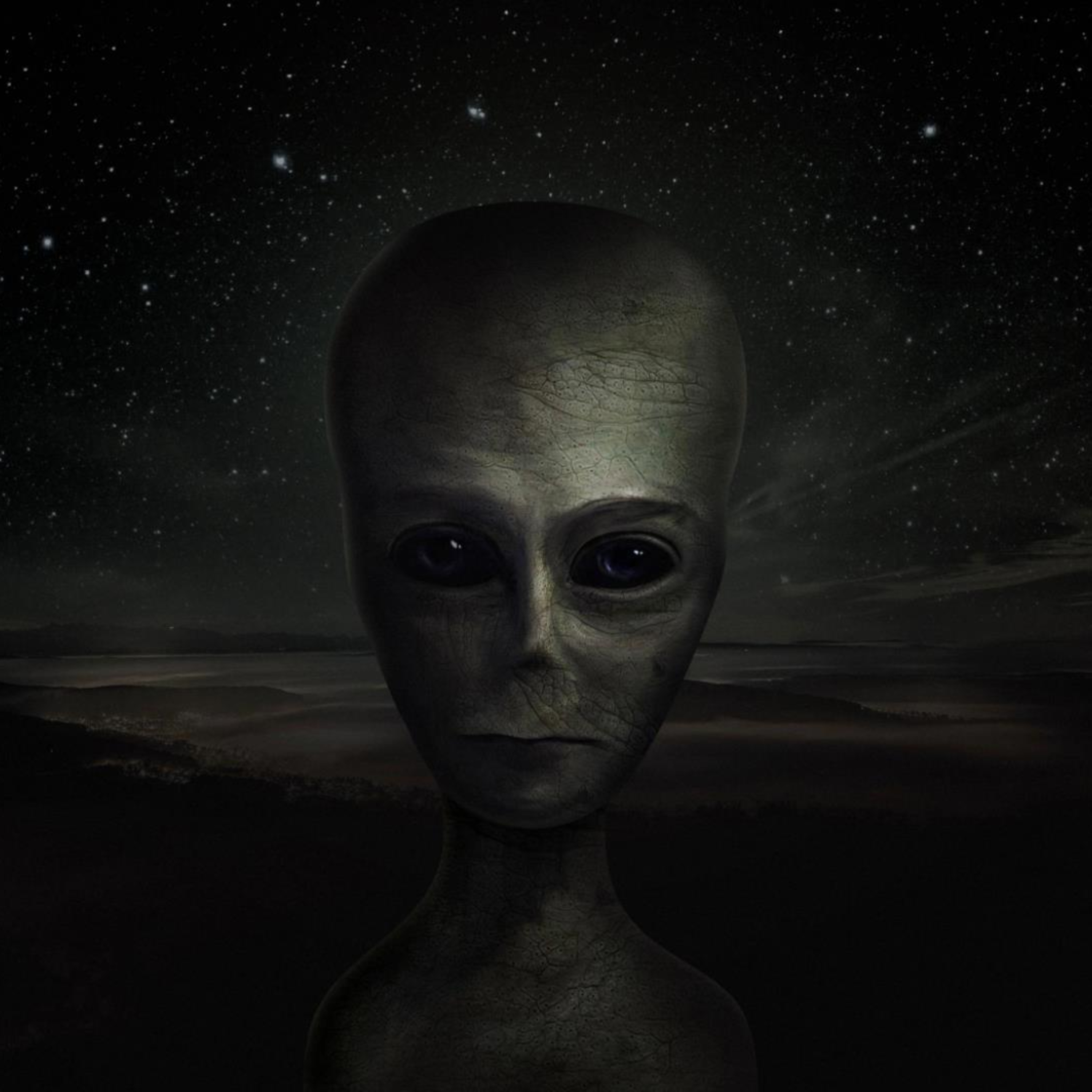 Alien Encounter Ruins Government Engineer's Life