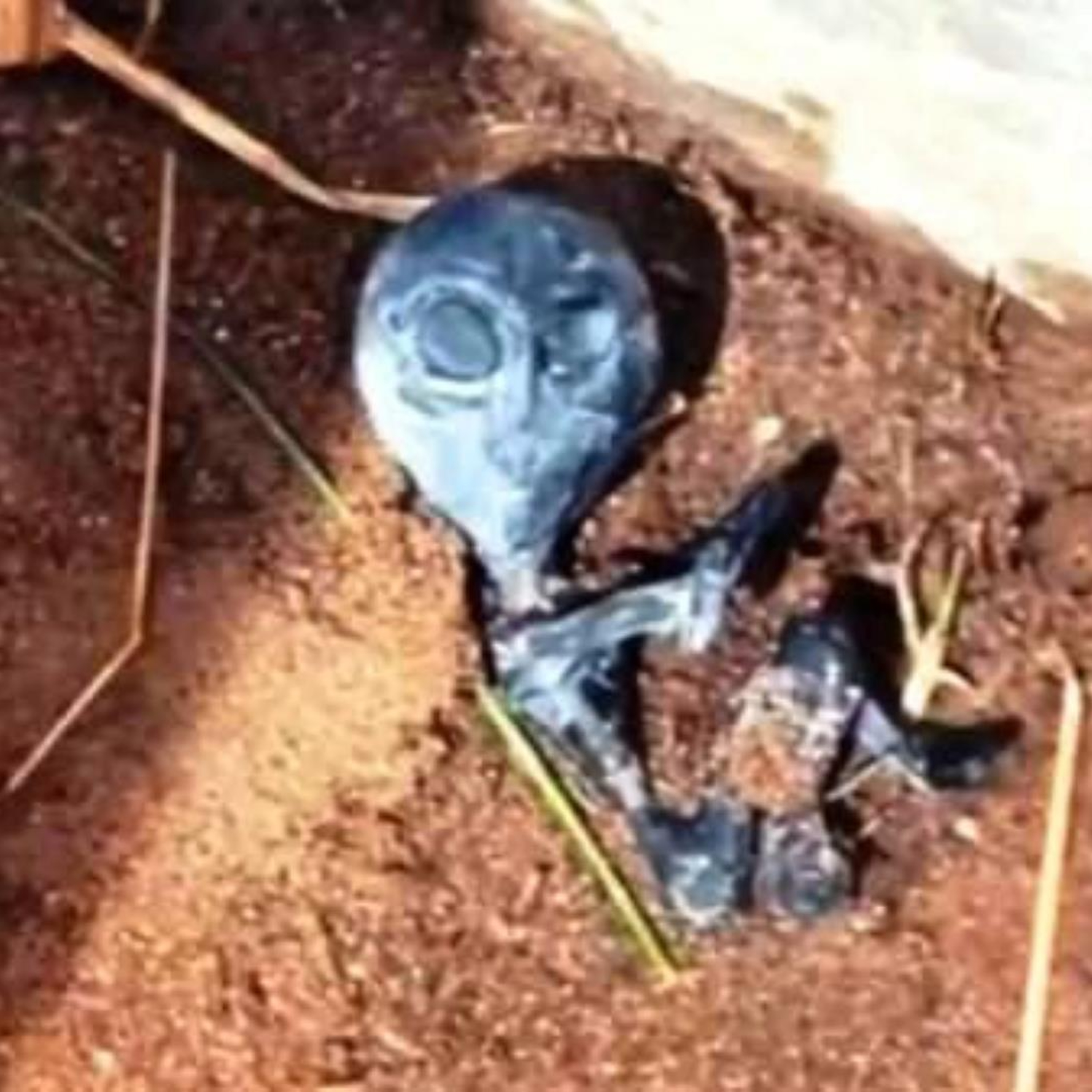 Report: ET 